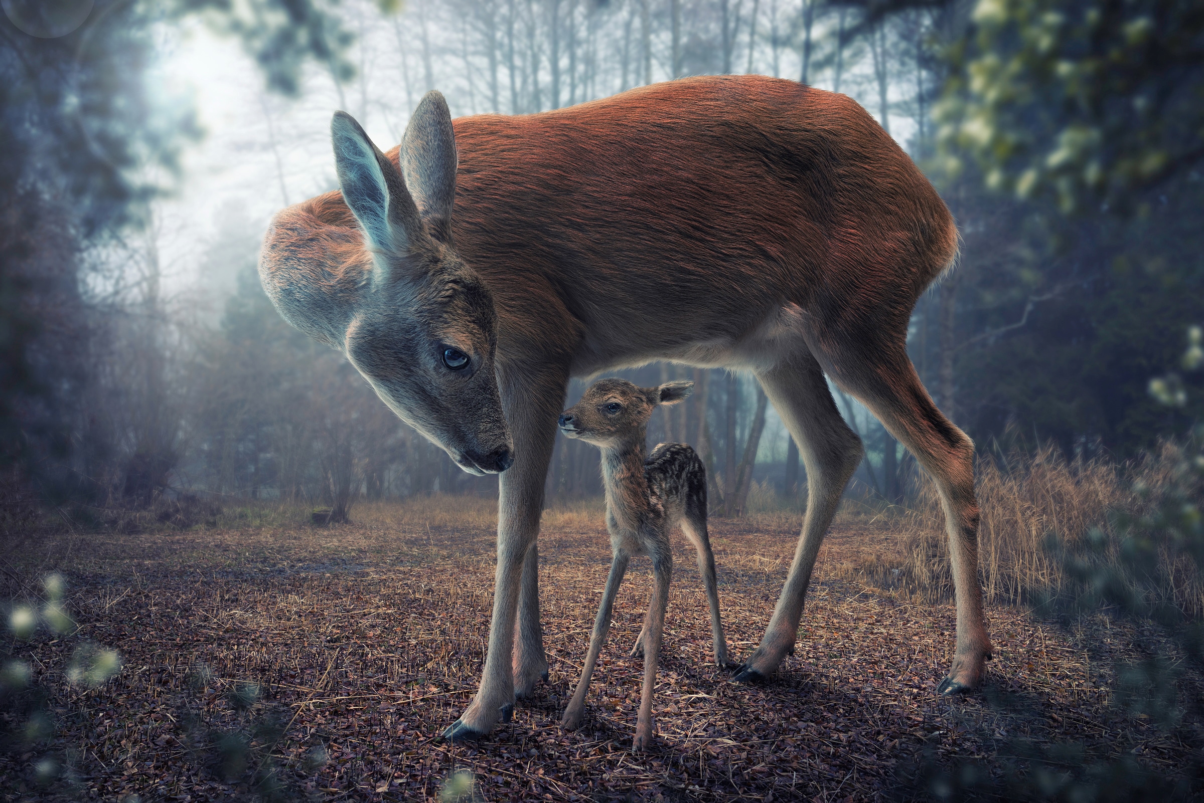 Papermoon Fototapete »Photo-Art JOHN WILHELM, MUTTER UND KITZ«