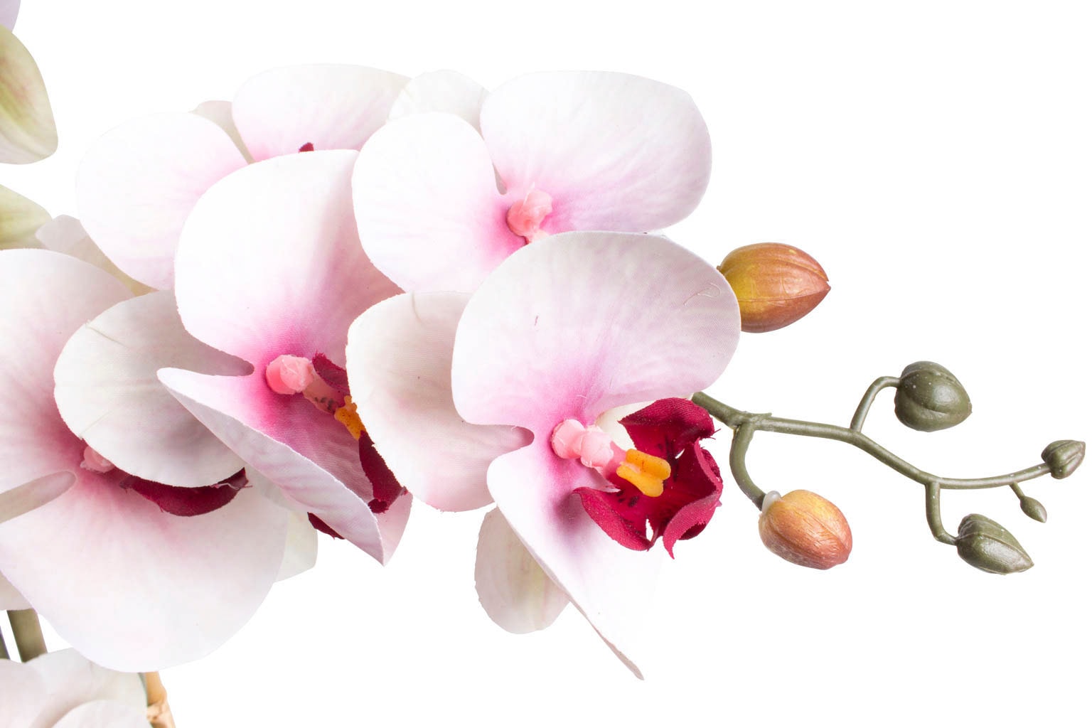 Botanic-Haus Kunstorchidee »Orchidee Bora«, (1 OTTO im Shop Online St.)