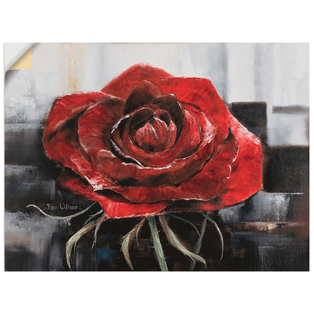 Artland Wandbild »Blühende rote Rose«, Blumen, (1 St.)