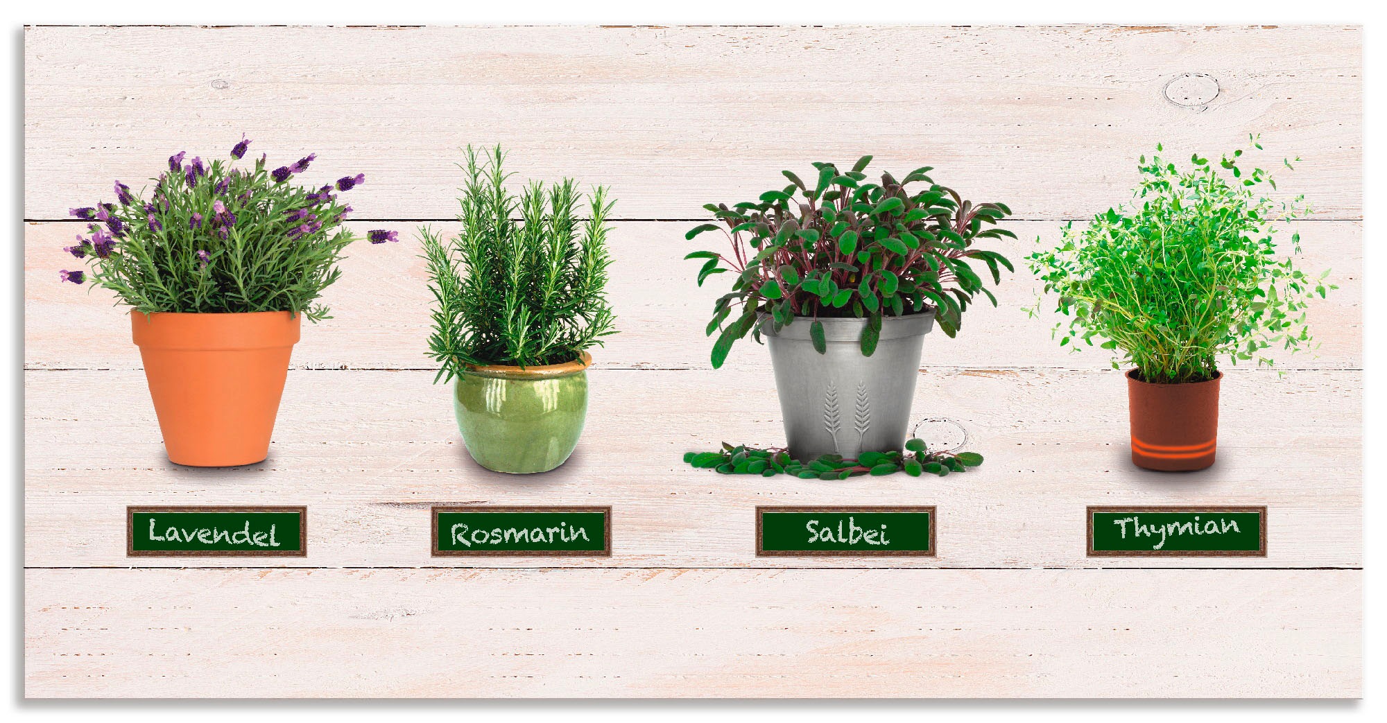 Artland Küchenrückwand »Lavendel Salbei Thymian Rosmarin Kräuter«, (1 tlg.), selbstklebend in vielen Größen - Spritzschutz Küche hinter Herd u. Spüle als Wandschutz vor Fett, Wasser u. Schmutz - Rückwand, Wandverkleidung aus Alu