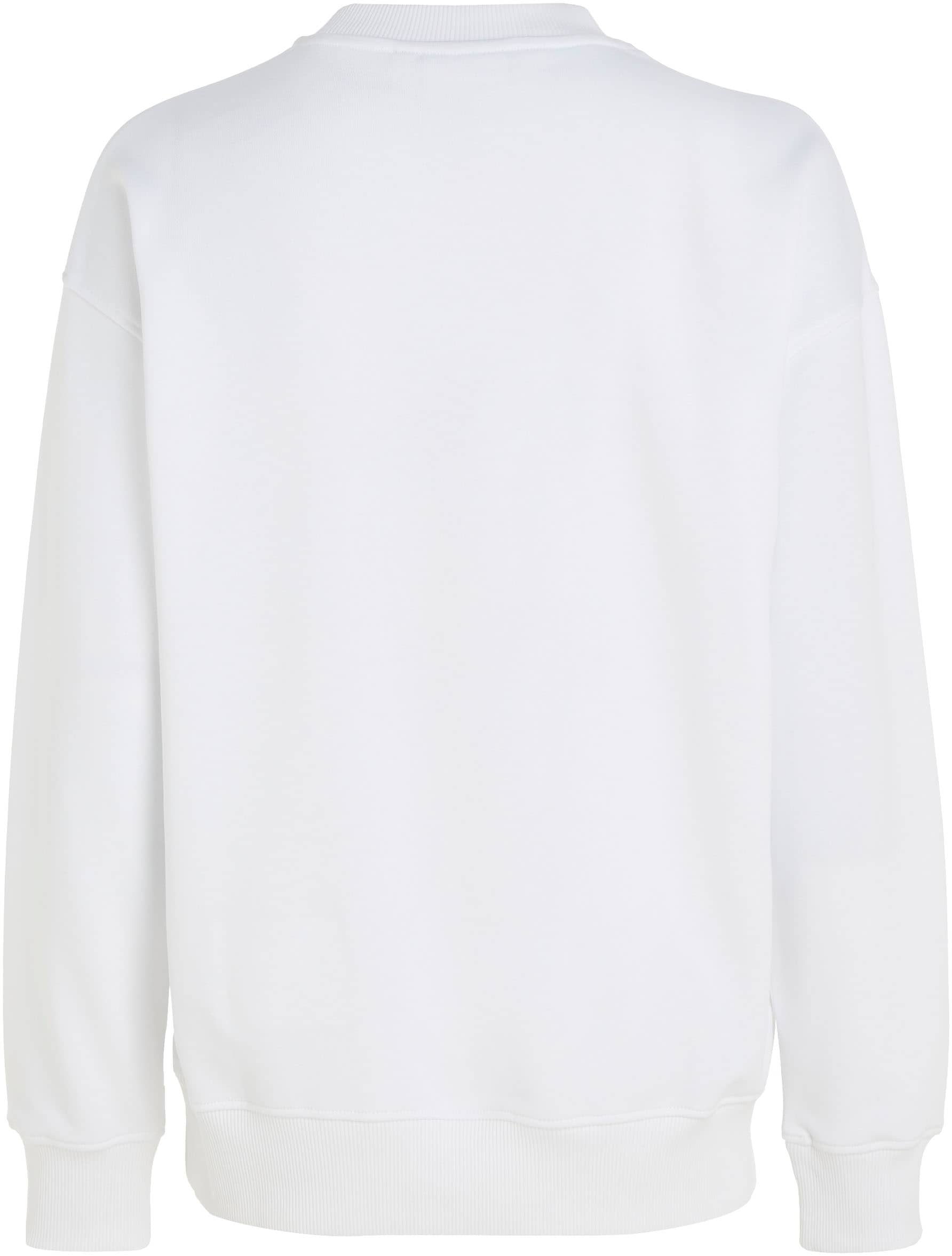 Calvin Klein Sweatshirt, mit Rundhalsausschnitt