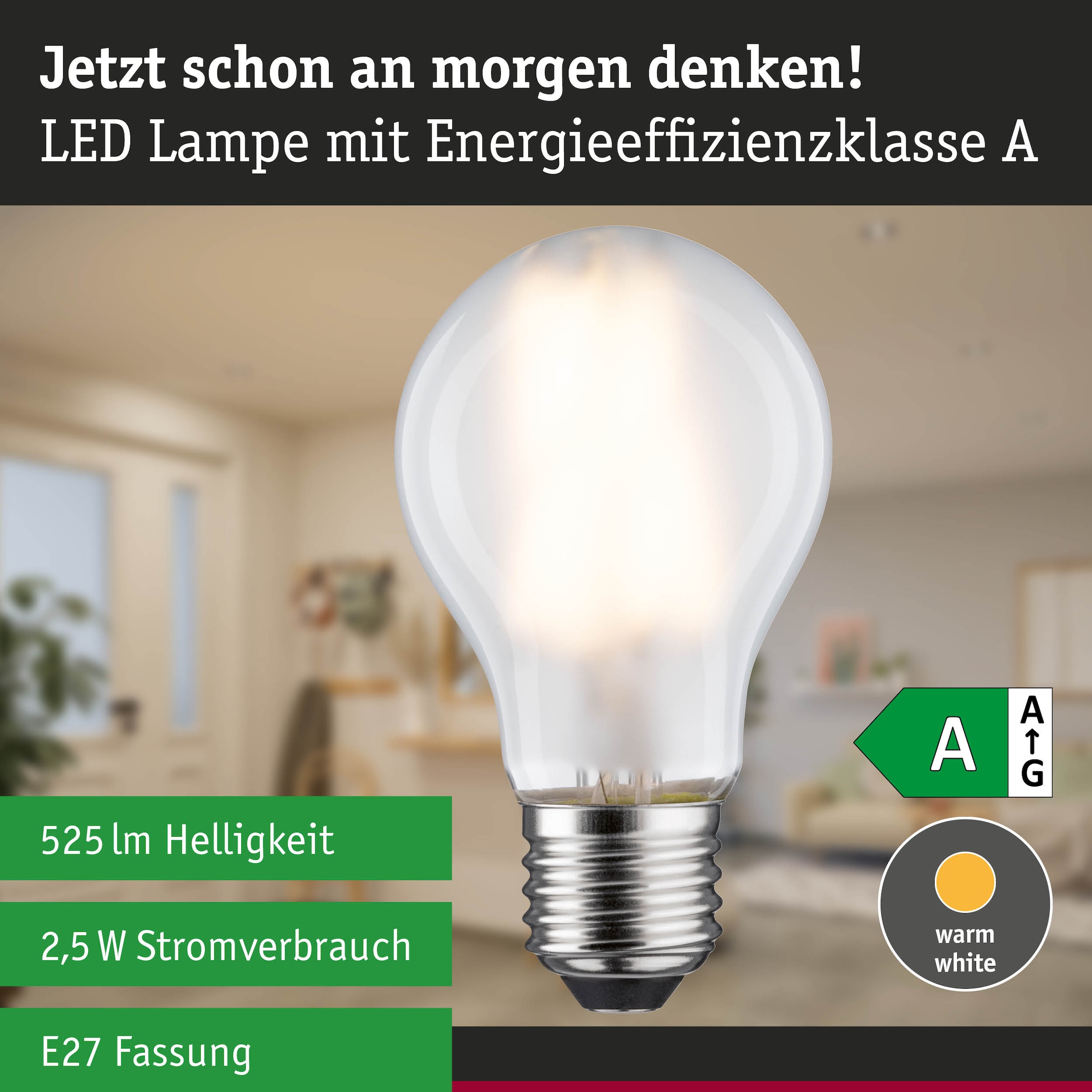 Paulmann LED-Leuchtmittel »Efficient-Line Filament 230V LED Birne E27 1 St. 525lm 2,5W 3000K Matt« E27 1 Stk. Warmweiß