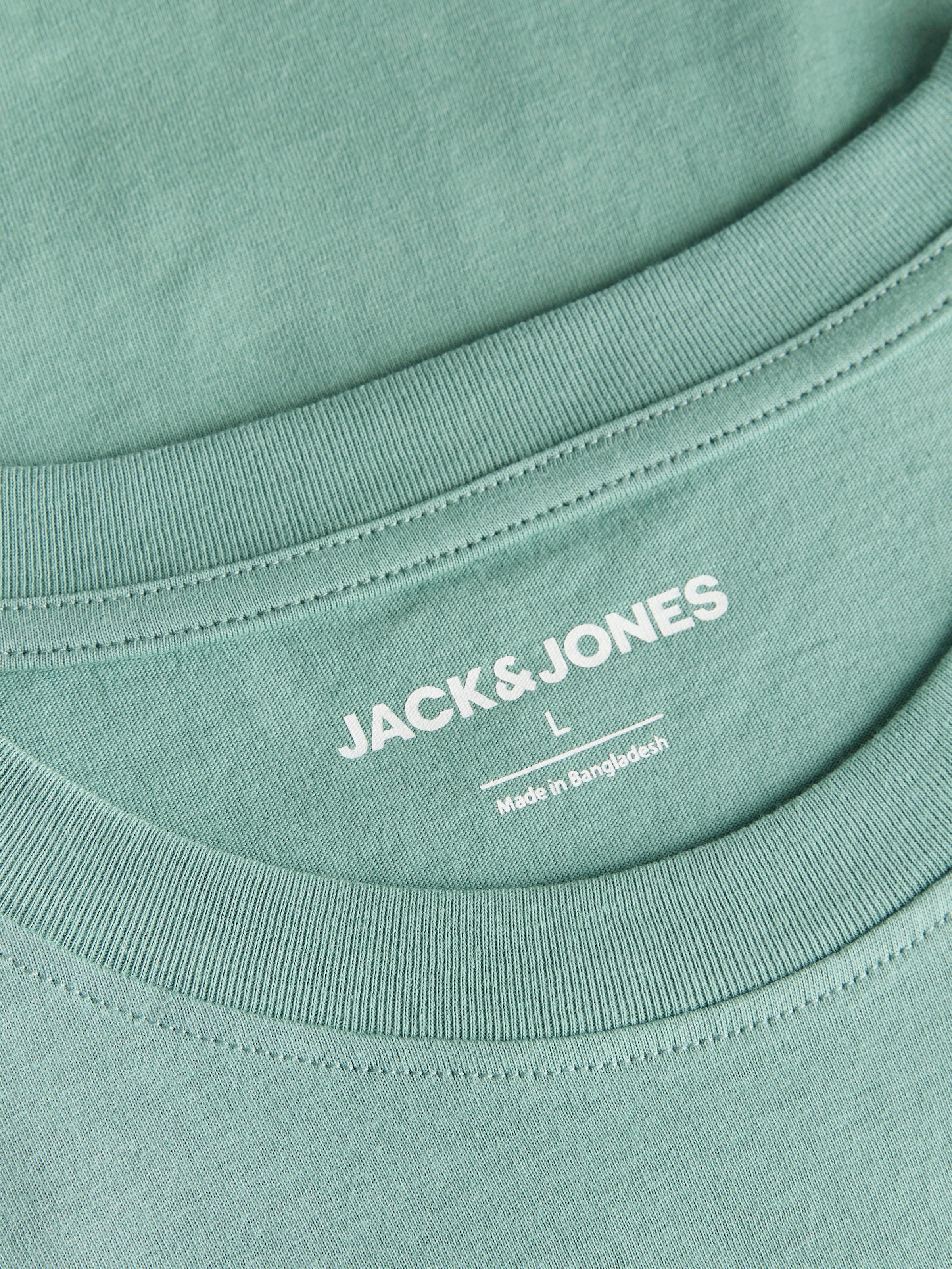 Jack & Jones PlusSize Rundhalsshirt »JJRAIN TEE SS CREW NECK PLS«