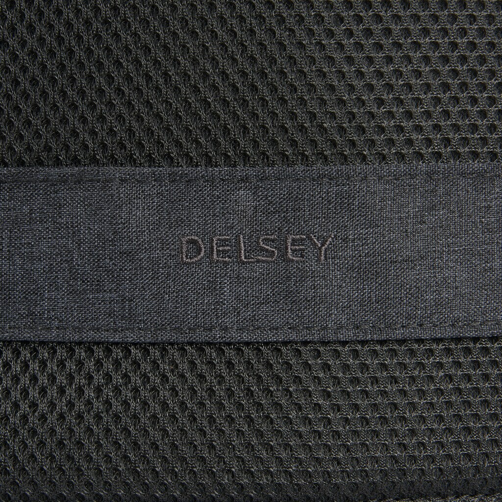 Delsey Laptoprucksack »Maubert 2.0«