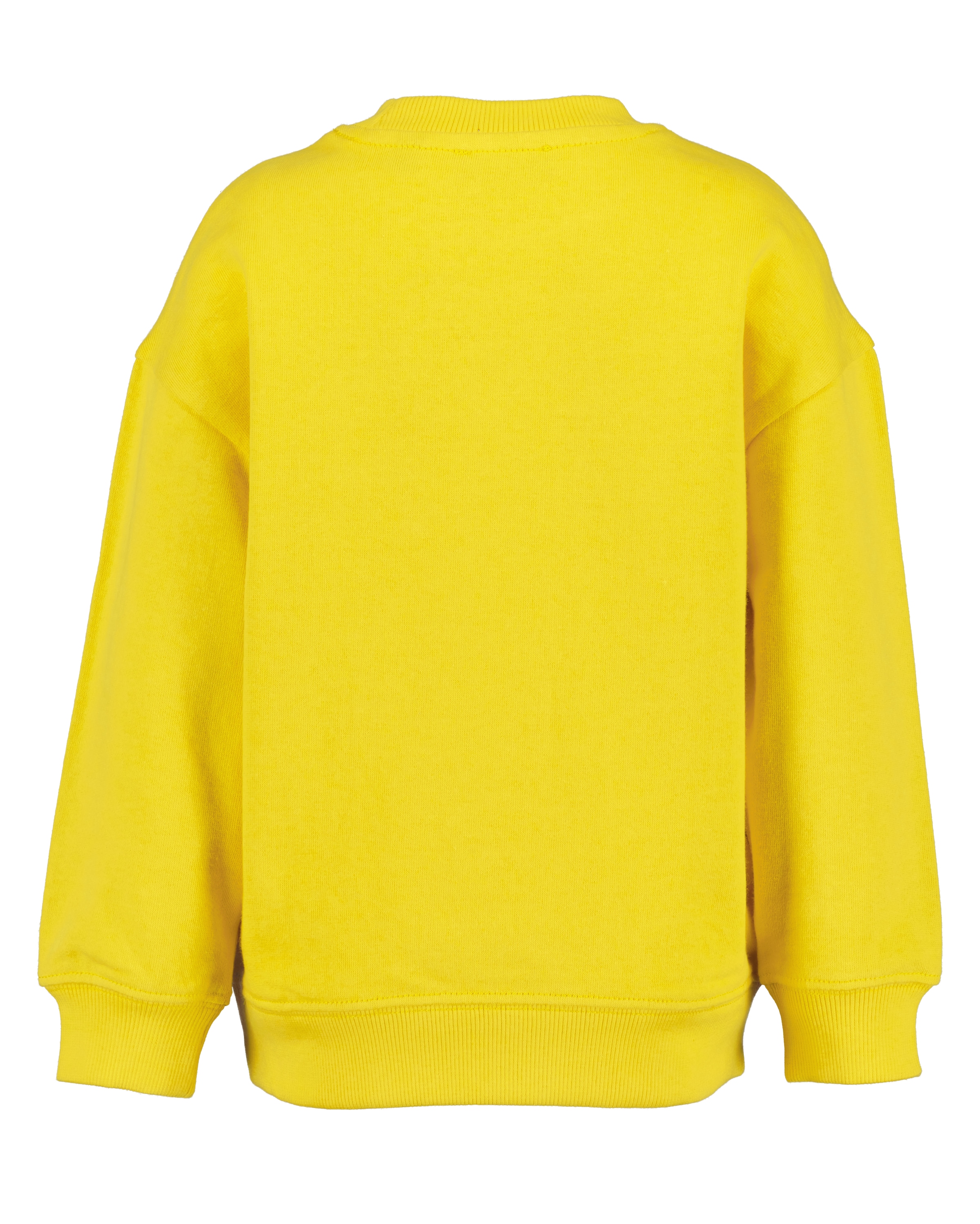 Blue Seven Sweatshirt , mit tollen Dino-Motiven
