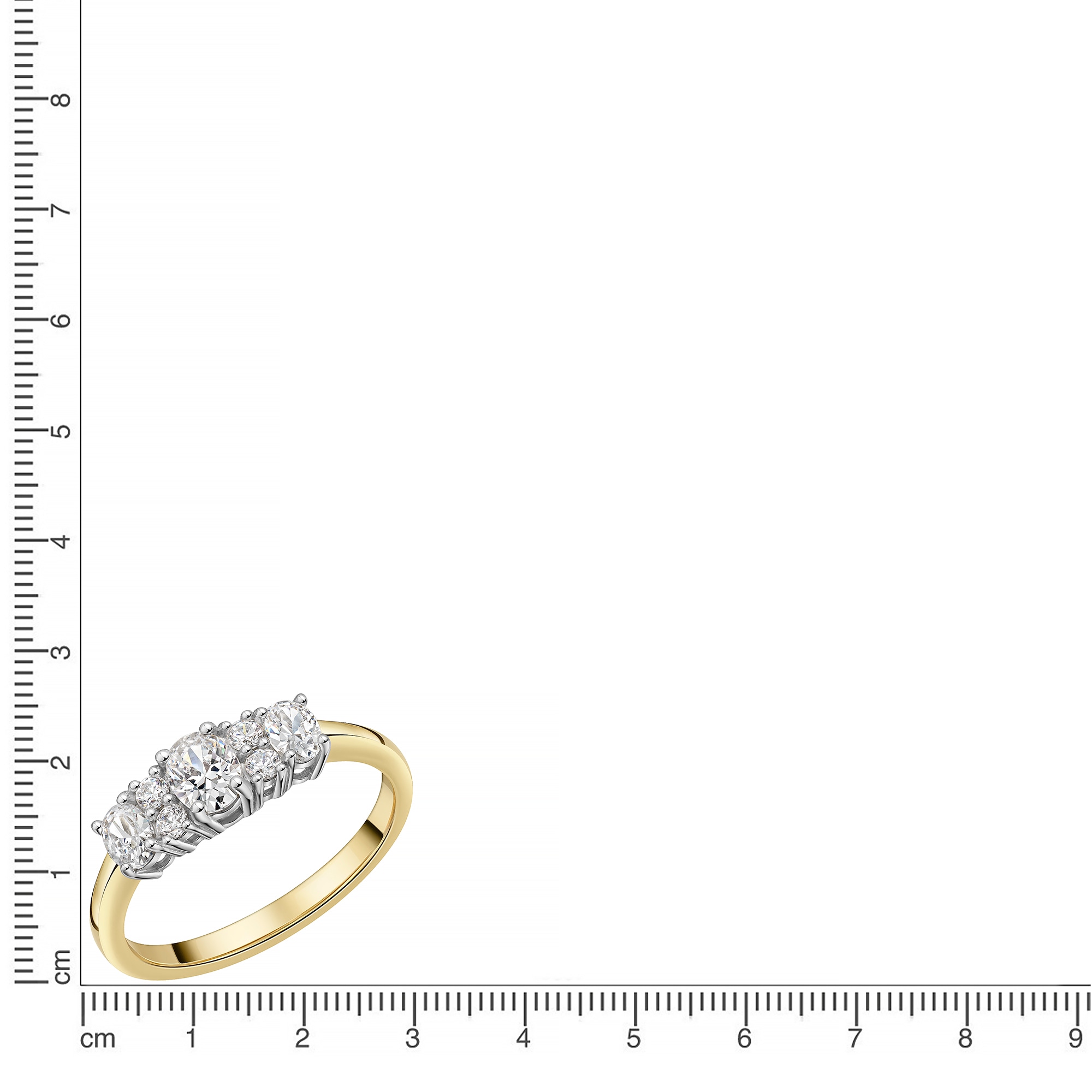 Firetti Fingerring »Schmuck Geschenk Gold 333 Damenring Ring Krone bicolor« mit Zirkonia (synth.)