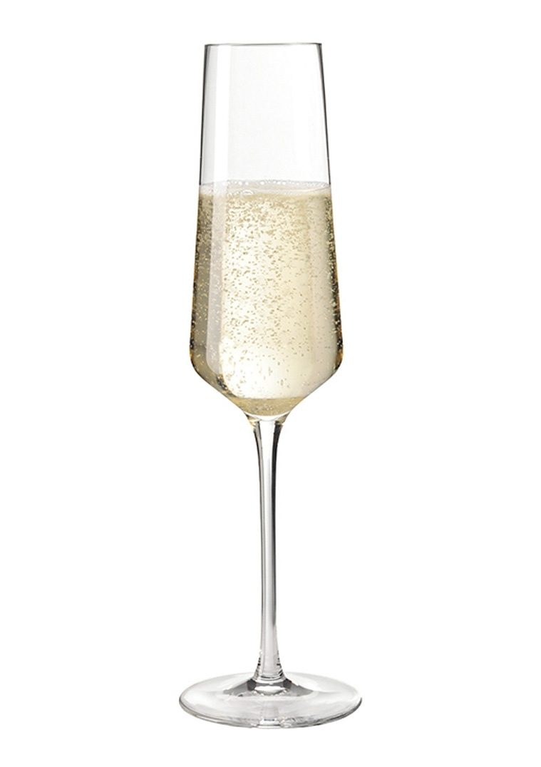 LEONARDO Sektglas, (Set, 6 tlg.), 6-teilig
