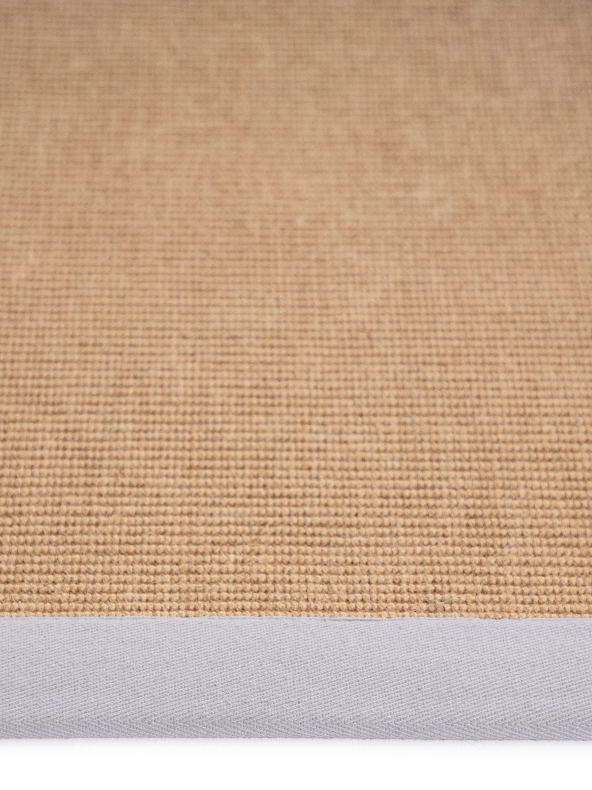 carpetfine Sisalteppich »Sisal«, rechteckig, 5 mm Höhe, mit farbiger Bordüre, Anti Rutsch Rückseite