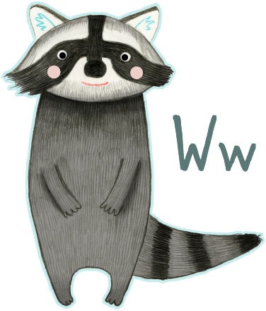 Wall-Art Wandtattoo »Waschbär Buchstabe W Tierwelt«, (1 St.)