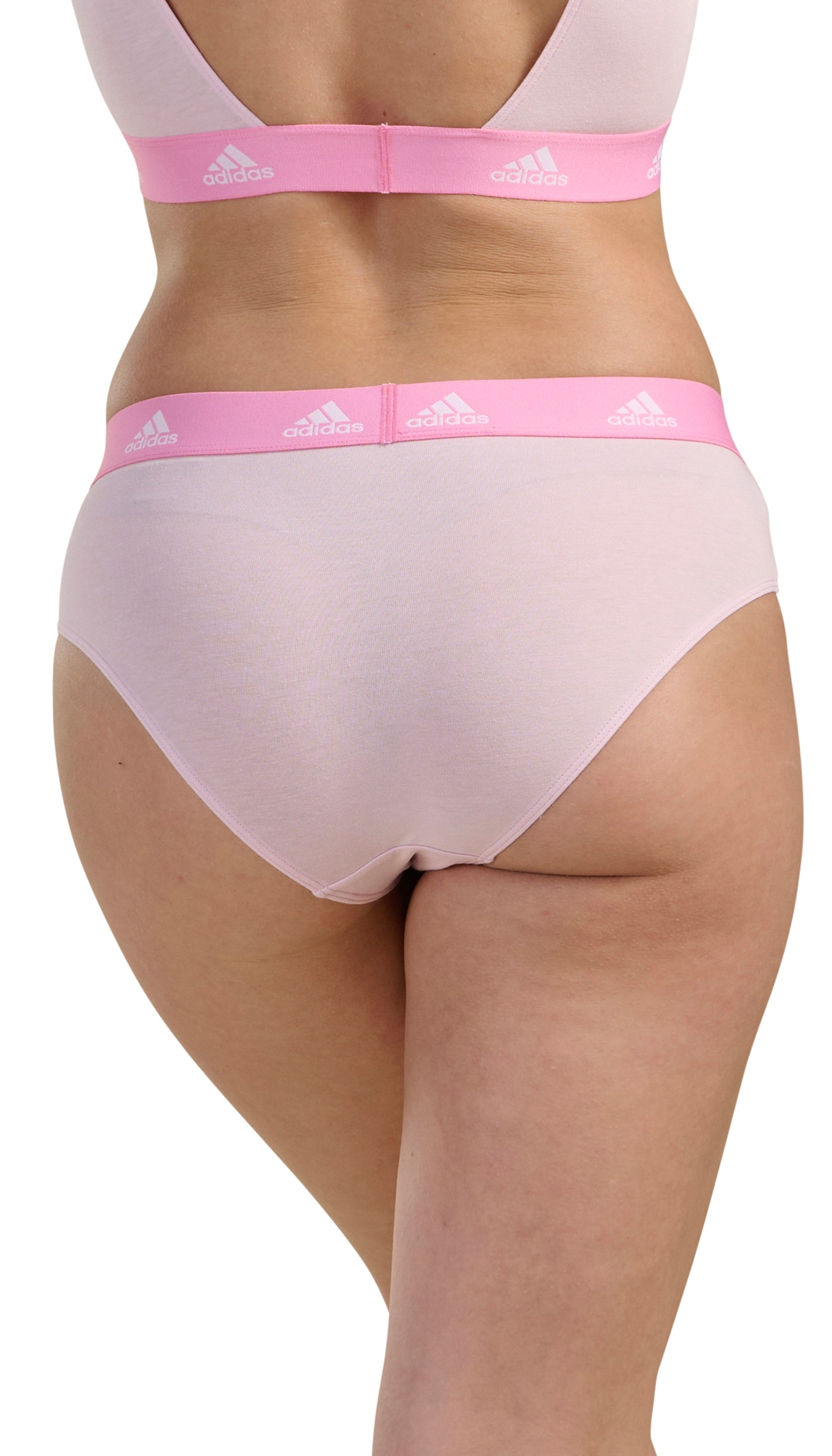 adidas Sportswear Bikinislip »"Sport Active Comfort Cotton"«, (3er Pack), Logo-Web-Bund, elastisches Single Jersey, schnelltrocknend