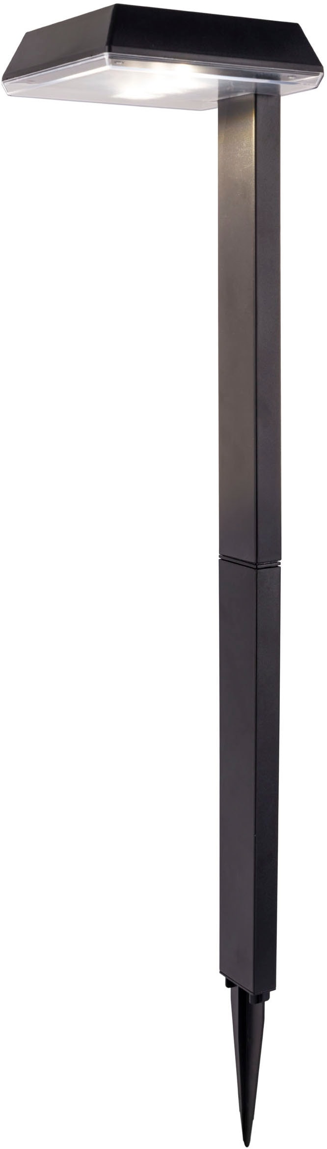 näve LED Solarleuchte »Sigi« LED-Modul 1 Stk. Warmweiß Dekoerdspieß, H: 79cm, Dämmerungssensor, schwarz, LED warmweiß