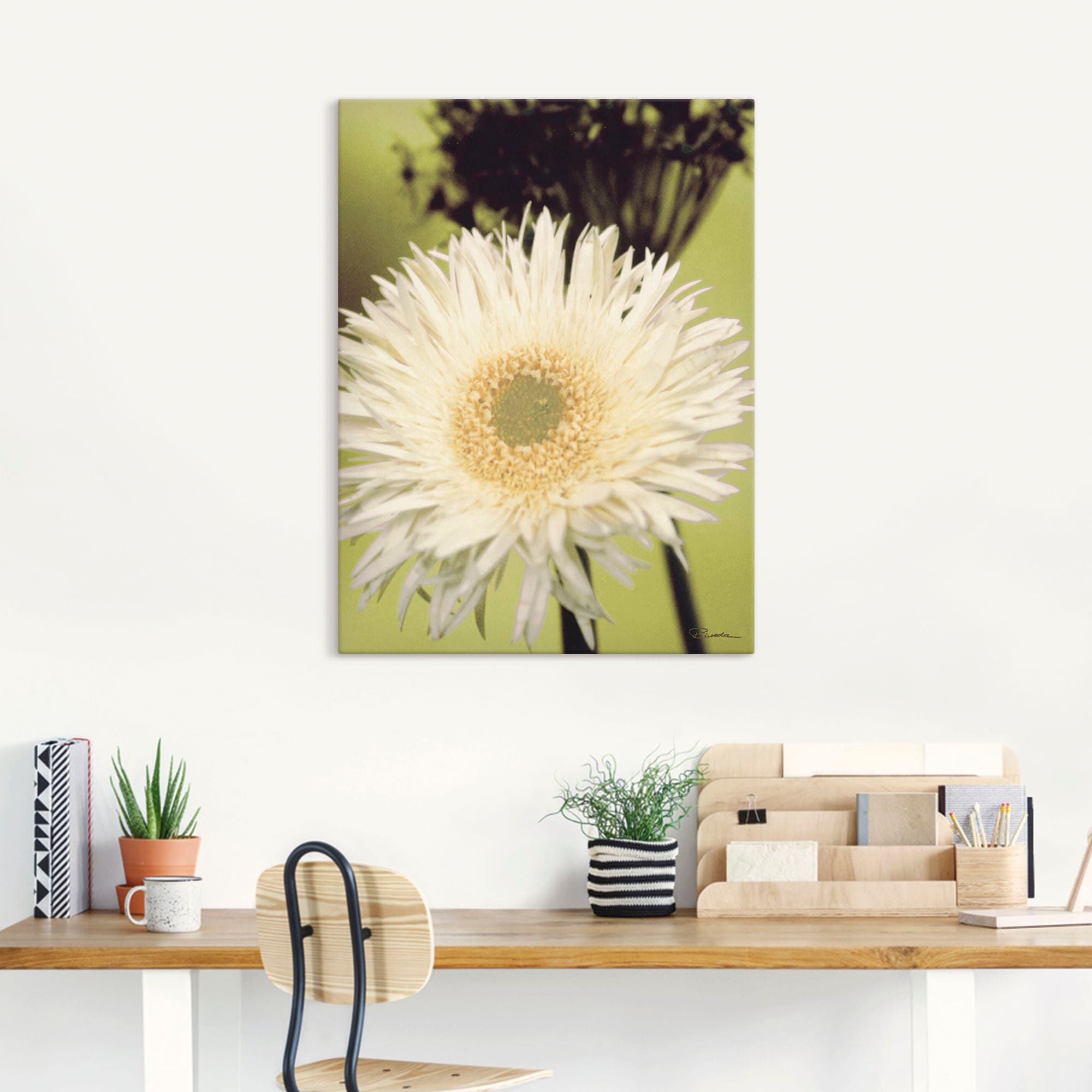 Artland Leinwandbild »Eine vor grün - Gerbera«, Blumenbilder, (1 St.), auf Keilrahmen gespannt