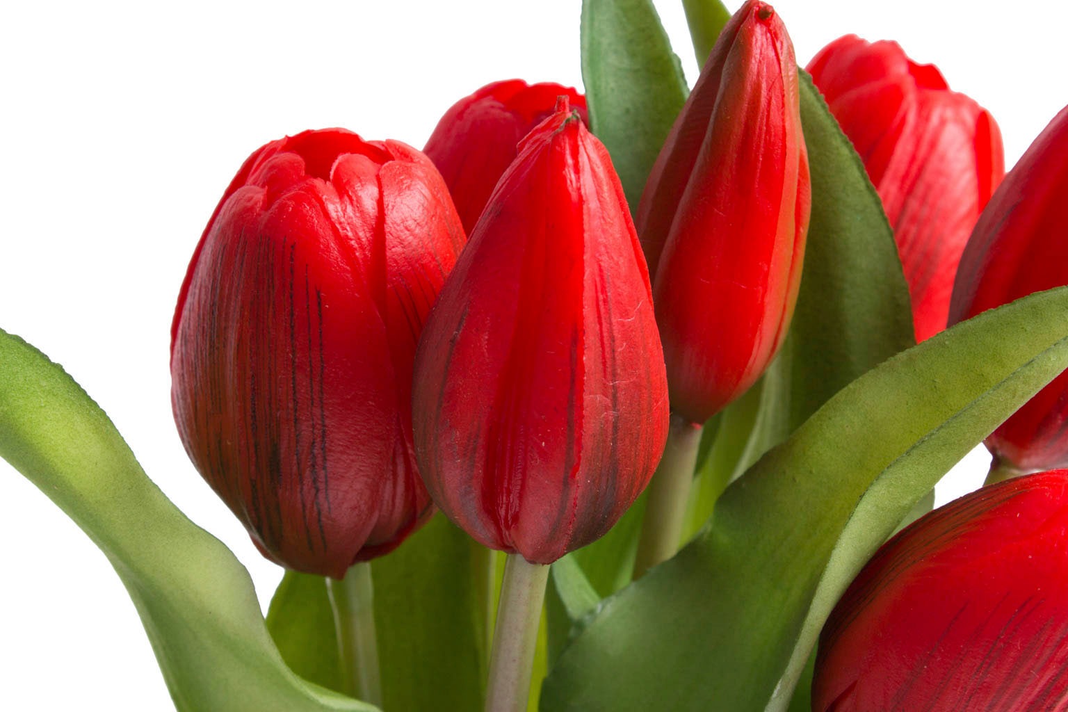 Botanic-Haus Kunstblume »Willa«, Tulpenbündel im 7er-Set