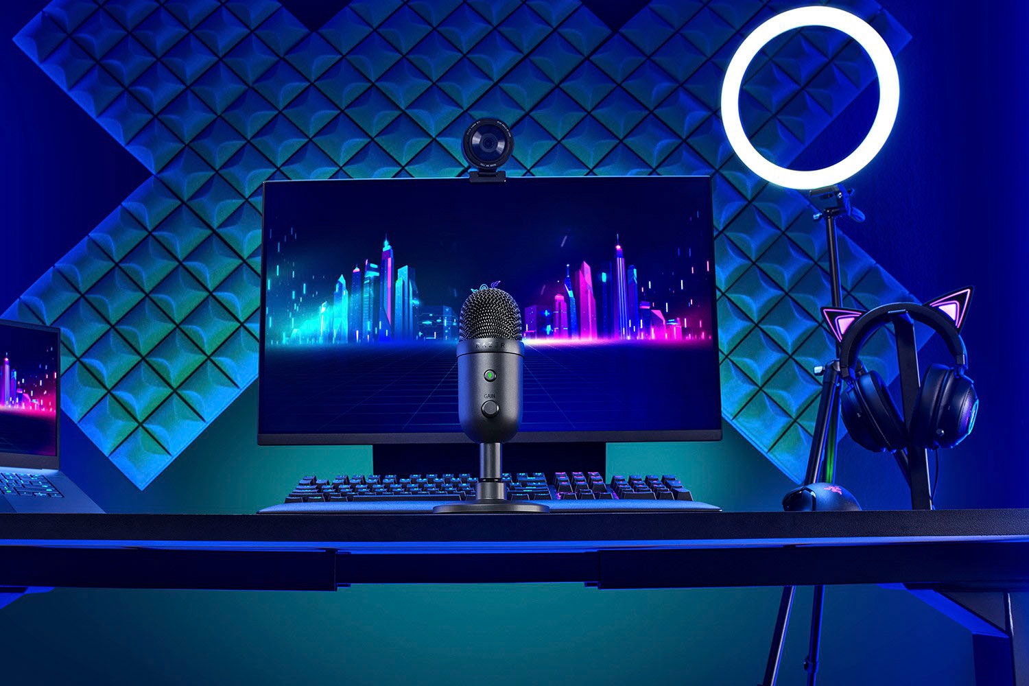 RAZER Streaming-Mikrofon »Seiren V2 X«, (1 tlg.)