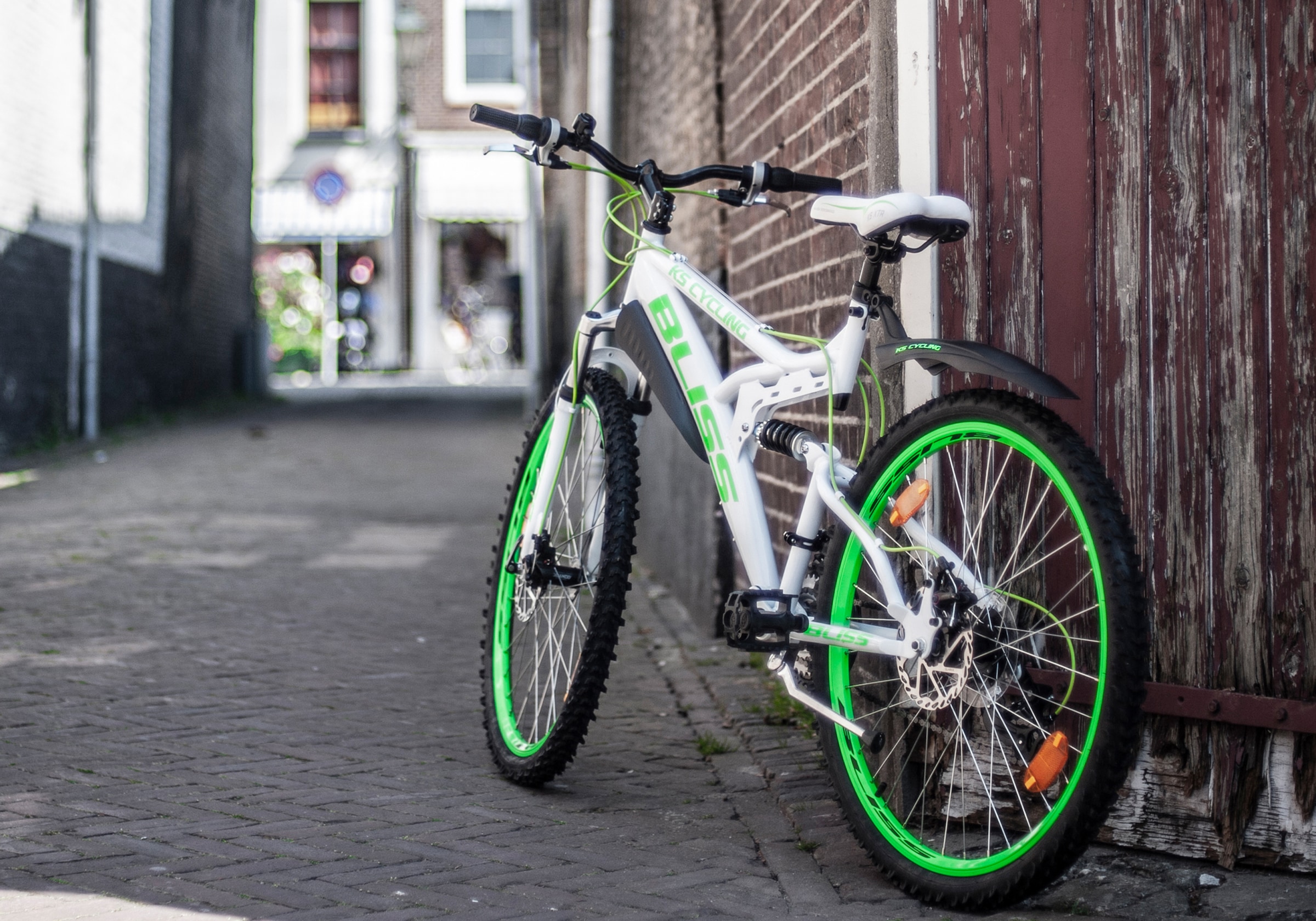 KS Cycling Mountainbike »Bliss«, 21 Gang, Shimano, Tourney Schaltwerk, Kettenschaltung, für Damen und Herren, Kettenschaltung