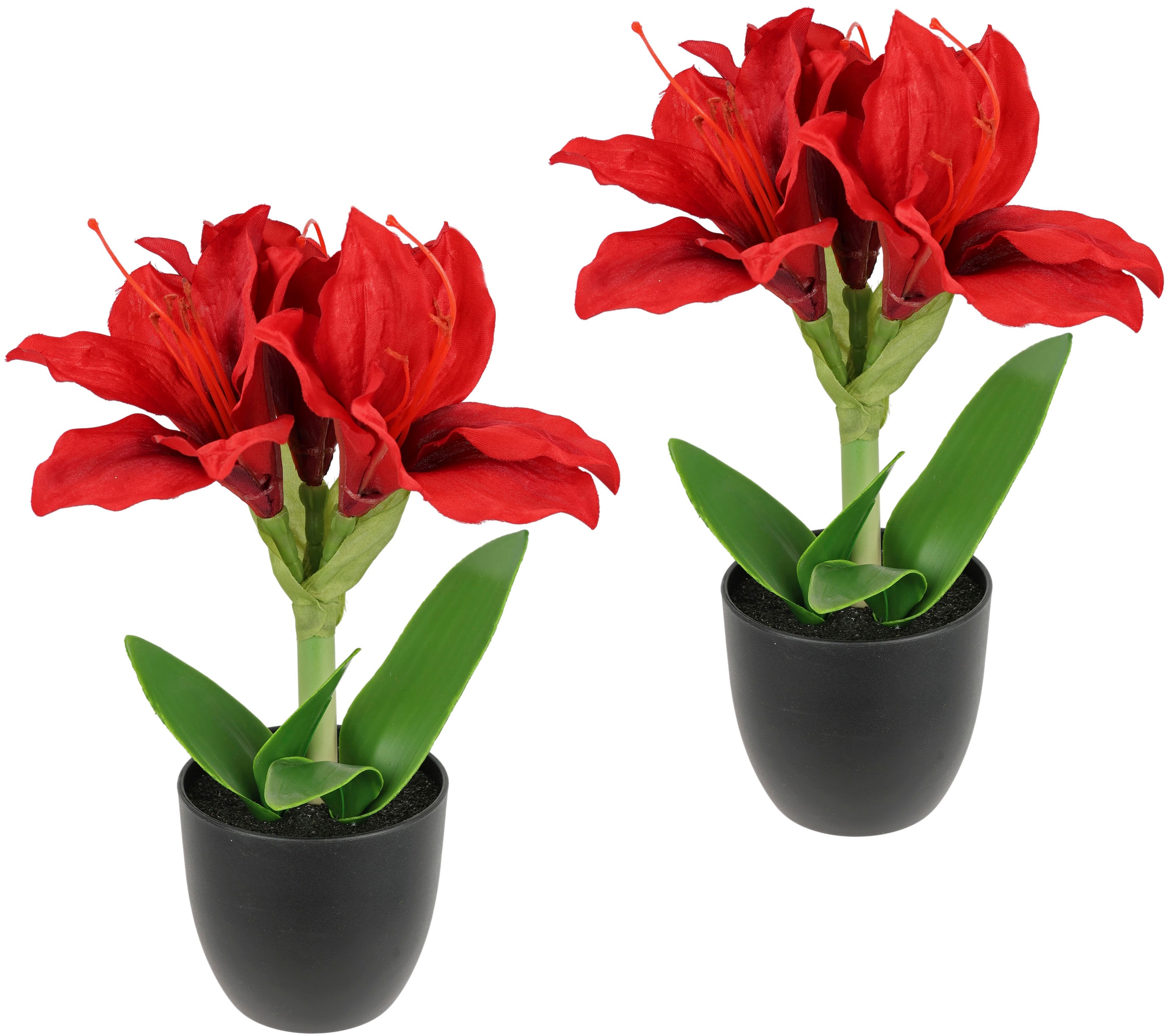 I.GE.A. Kunstblume »Amaryllis im Topf« 2erSet Blume Weihnachtsblume Weihnachtsdeko Winterblume Floristik Deko