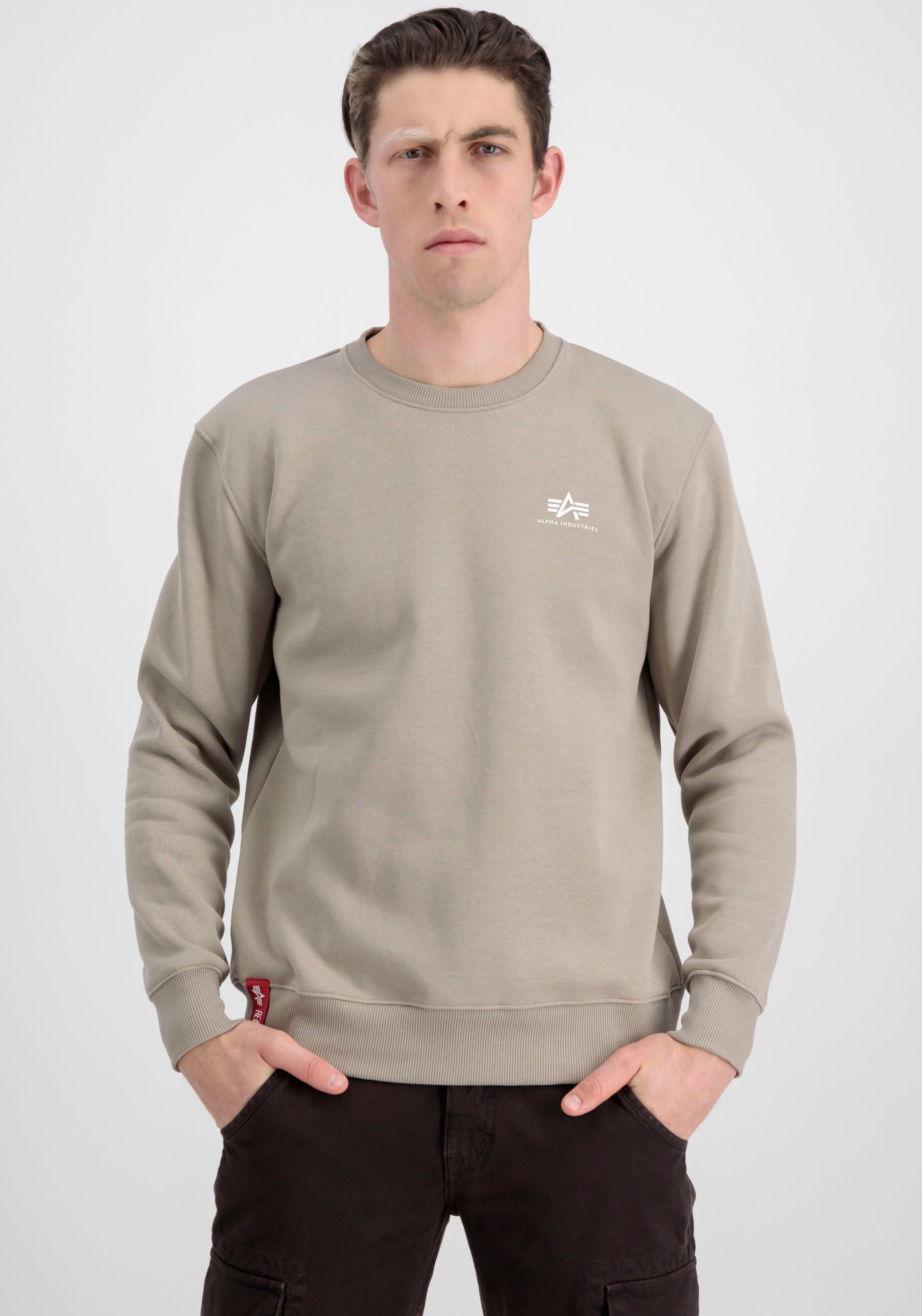 Sweatshirt »Basic Sweater small Logo«