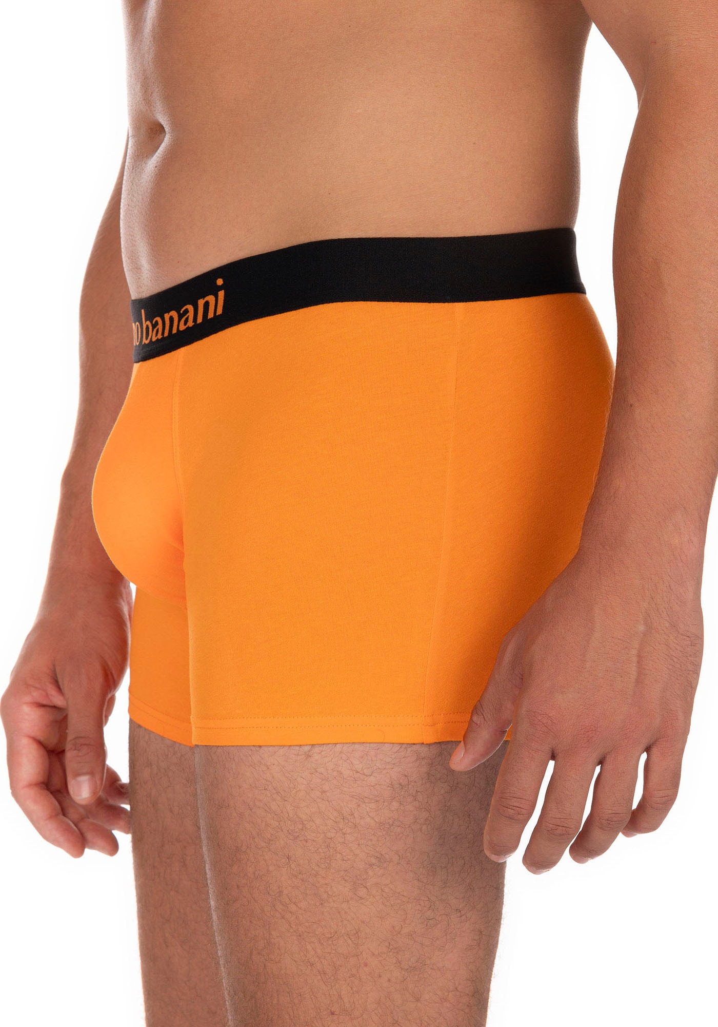 Bruno Banani Boxer, (2er Pack), mit kontrastreichem Logobund