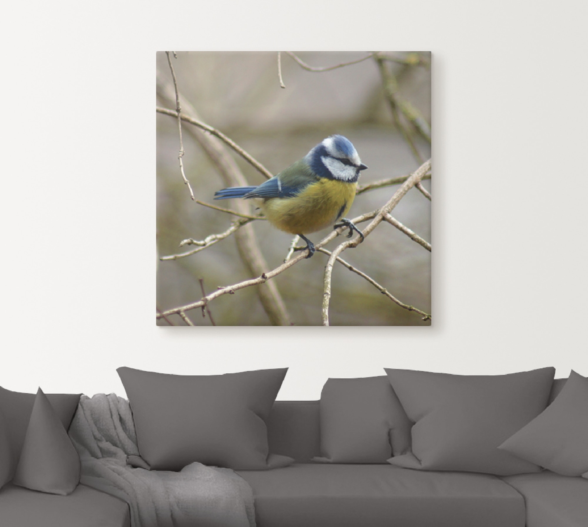 Artland Leinwandbild »Blaumeise« Vögel 1 Stk. tlg. auf Holzrahmen gespannt