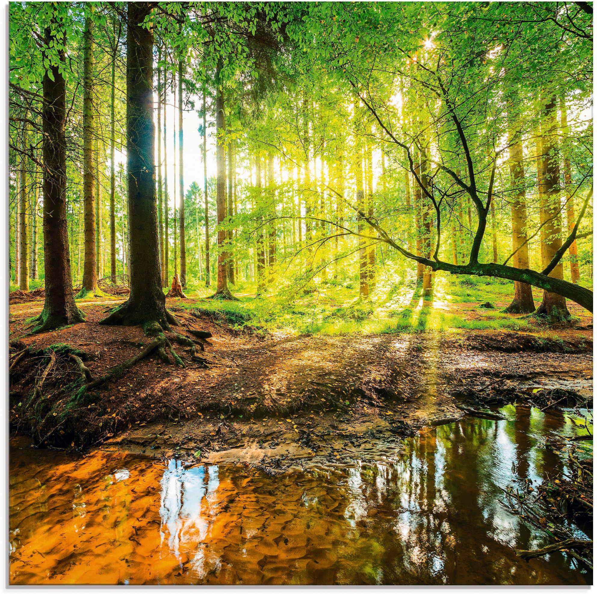 Artland Glasbild »Wald mit Bach«, Wald, (1 St.), in verschiedenen Größen