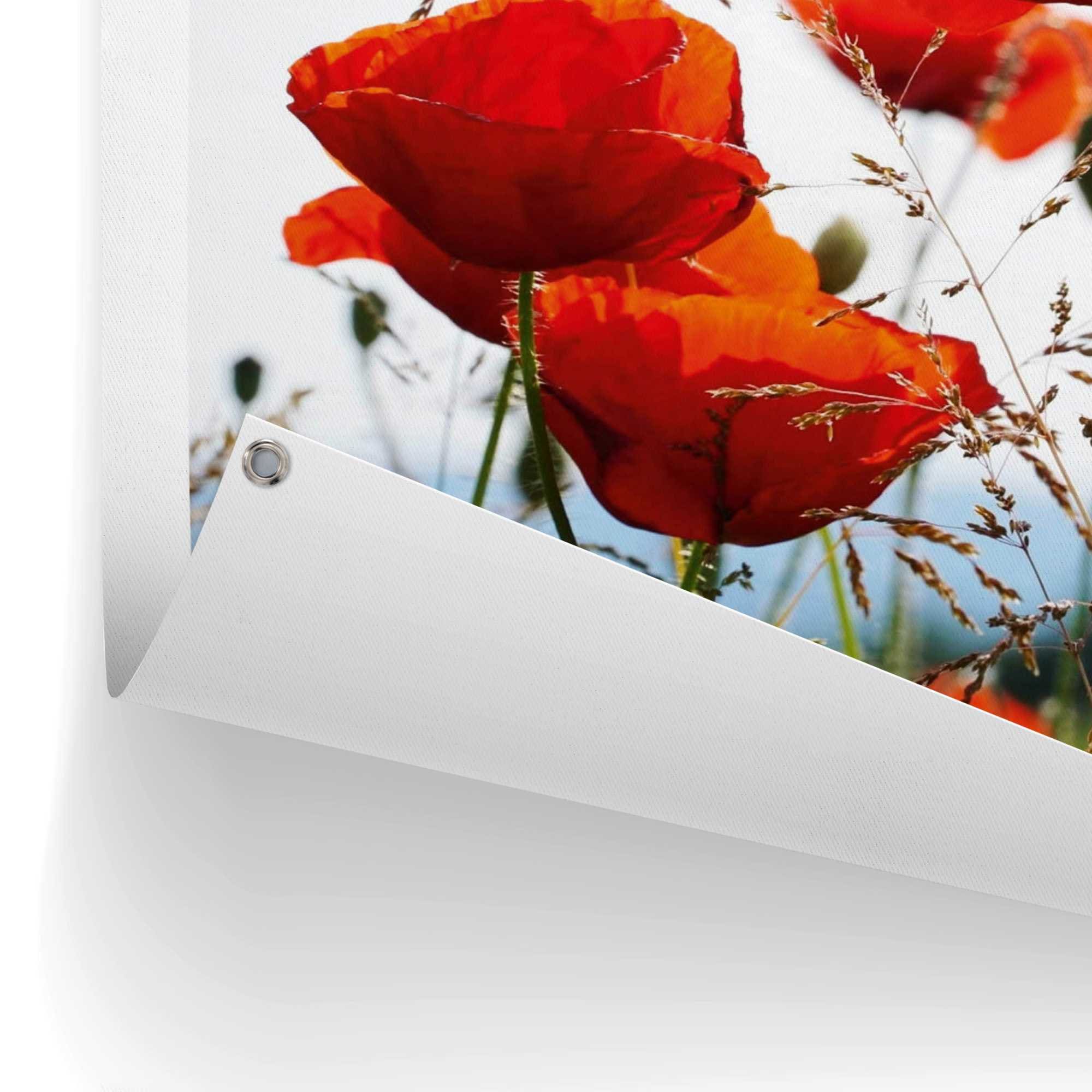 Reinders! Poster »Mohnblumen«, Outdoor für Garten oder Balkon