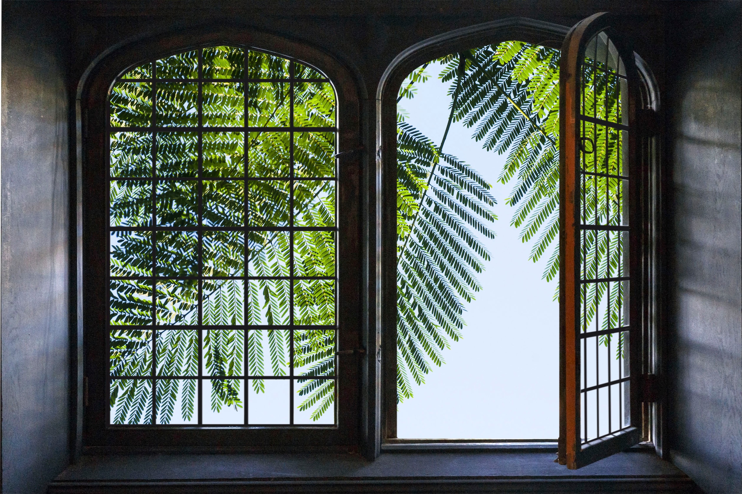 queence Wandsticker »Palme« Wandsticker, Wandbild, selbstklebend, 3D, Fenster