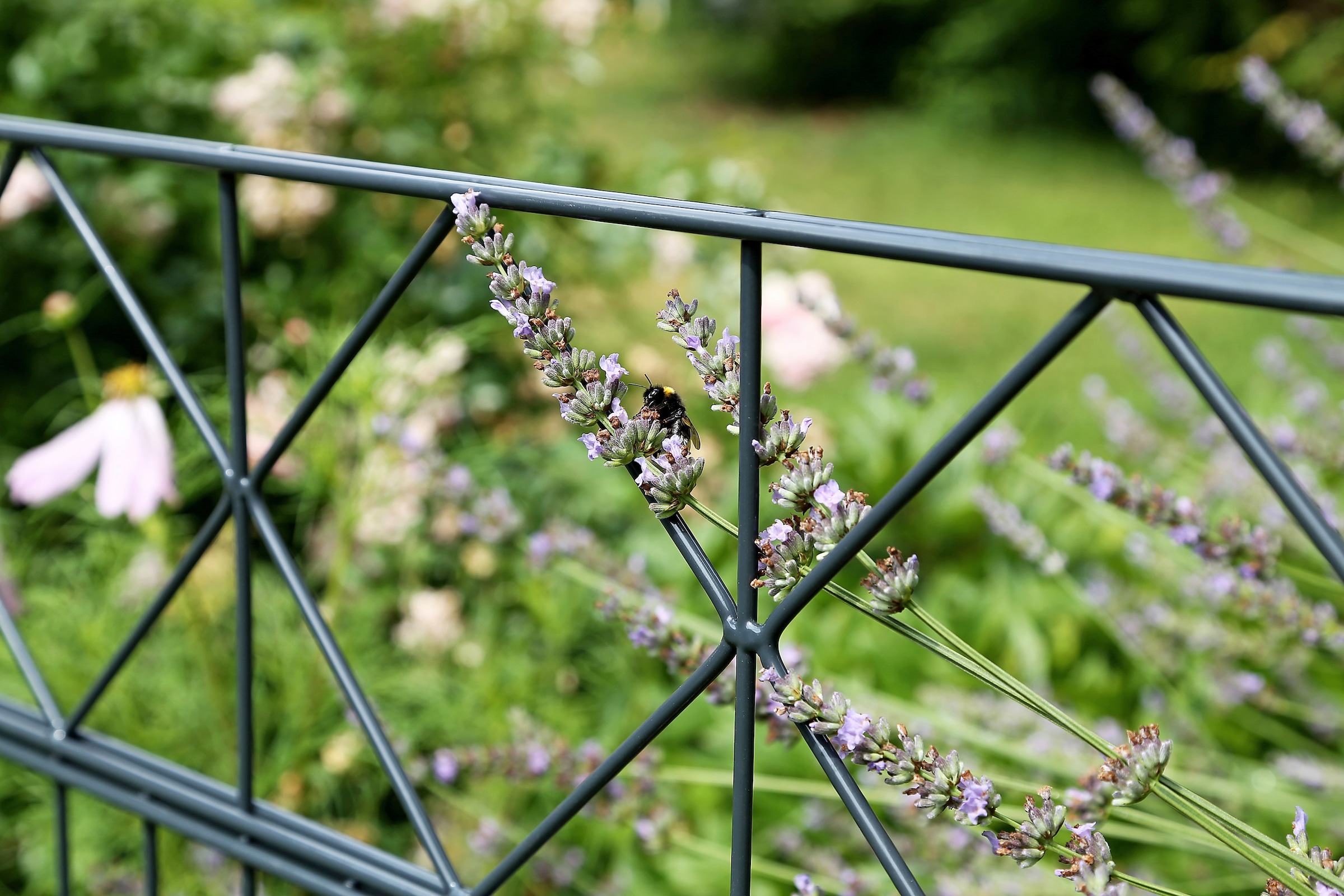 Alberts Doppelstabmattenzaun »Bergen« anthrazit, Höhe: 100-160cm, Gesamtlänge: 10-20m, zum Einbetonieren