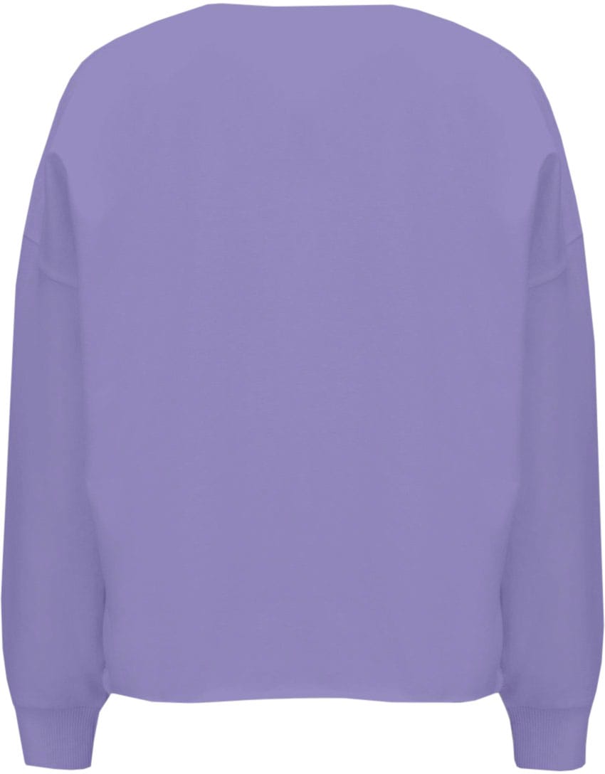 LTB Sweatshirt »Lacofo«