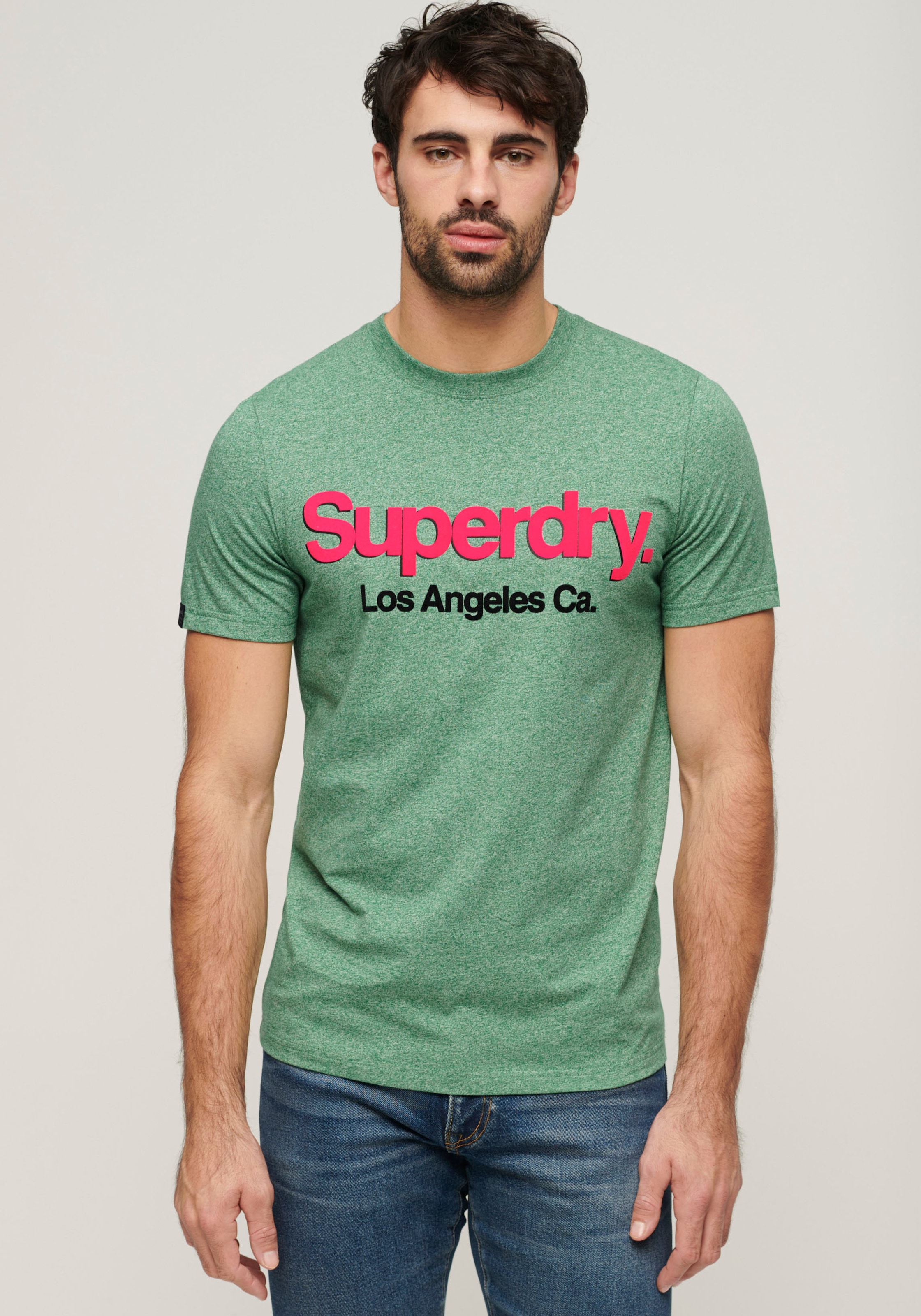 Superdry Print-Shirt »SD-CORE LOGO CLASSIC WASHED TEE«