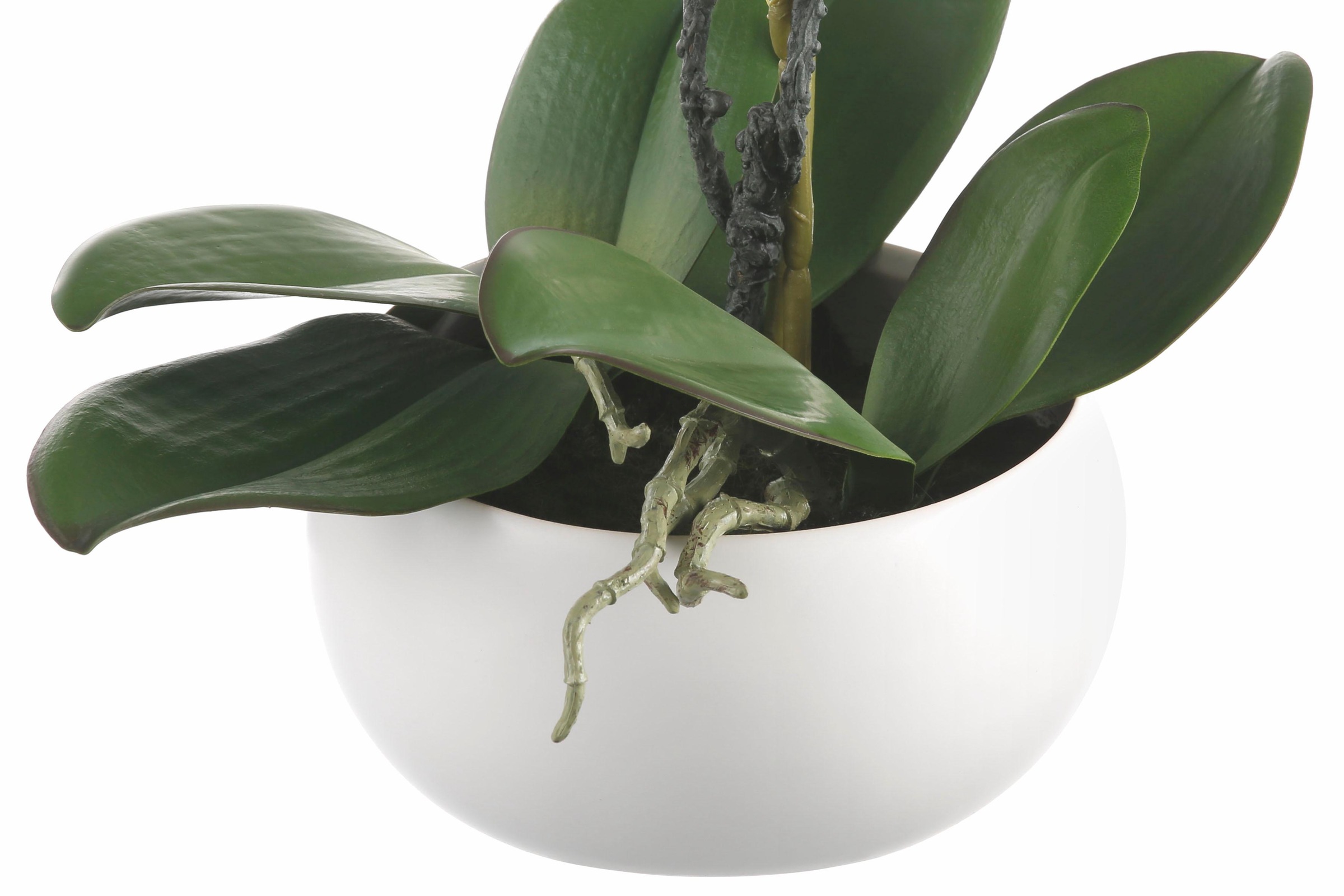 Creativ green Kunstpflanze »Orchidee«