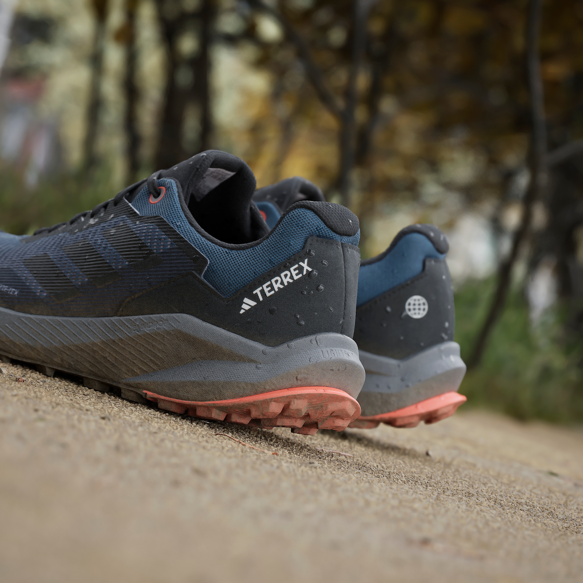 adidas TERREX Trailrunningschuh »TRAIL RIDER GORE-TEX TRAILRUNNING«, wasserdicht