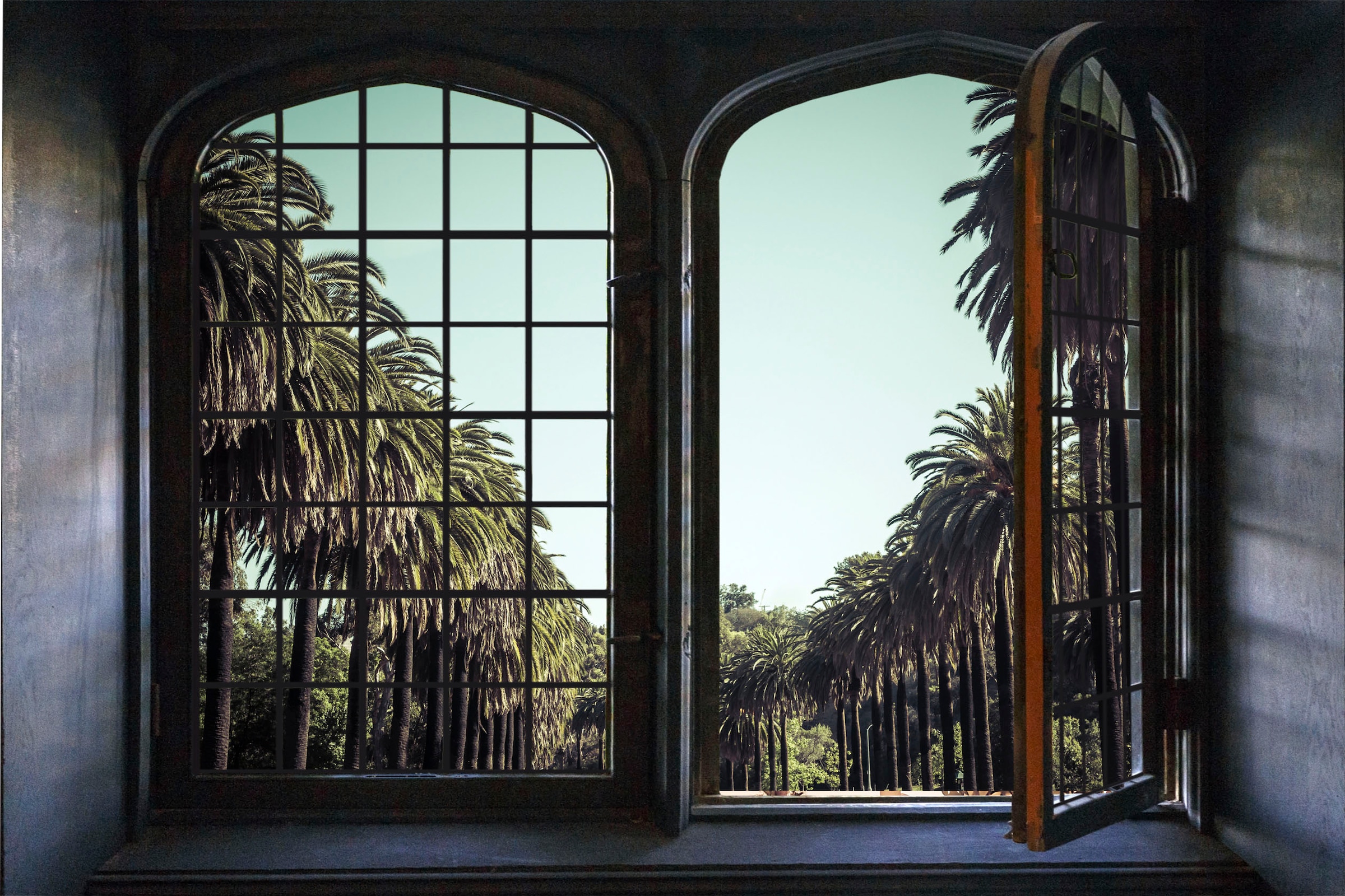 queence Wandsticker »Palmen« Wandsticker, Wandbild, selbstklebend, 3D, Fenster