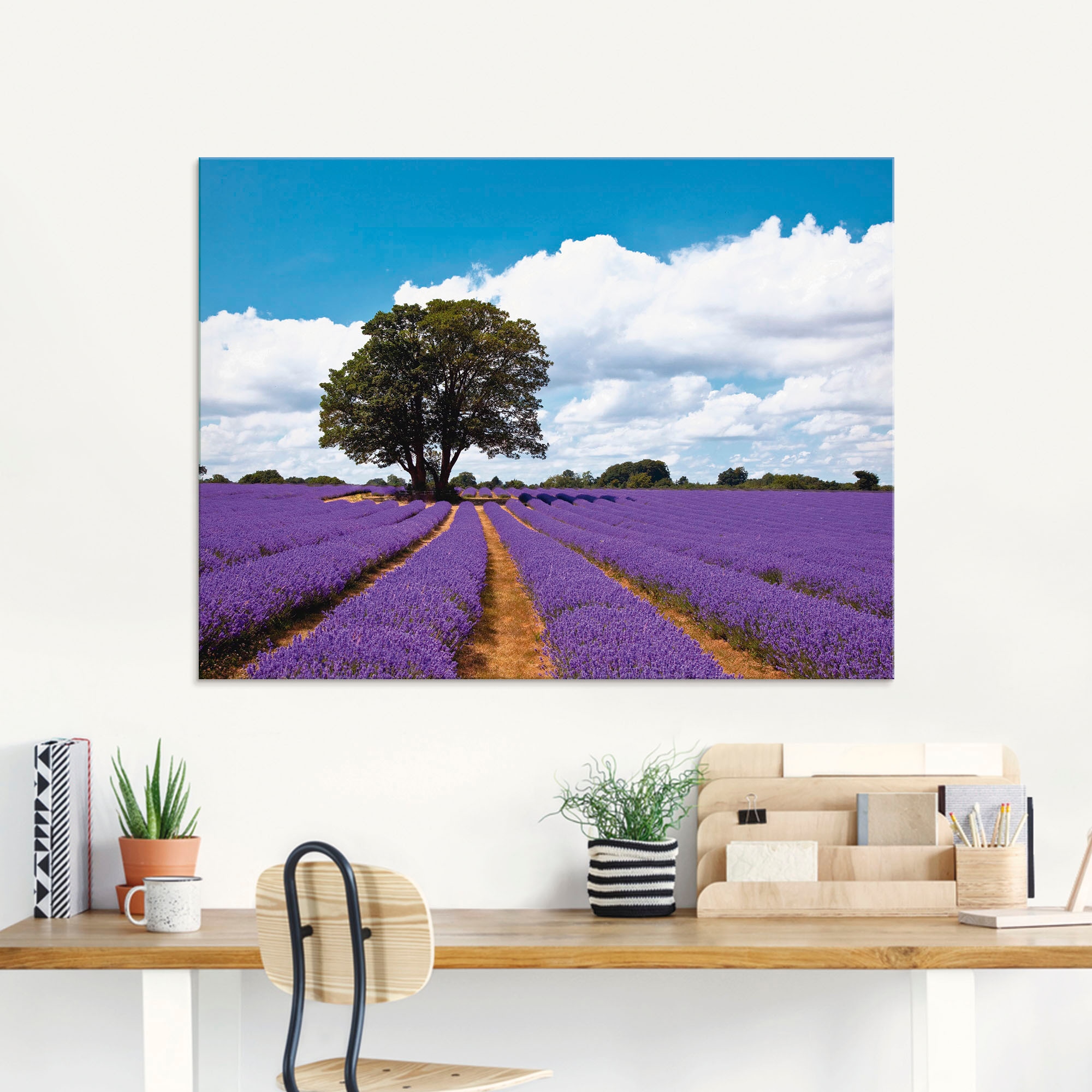 Artland Glasbild »Schönes Lavendelfeld im (1 bei OTTO Größen in Sommer«, verschiedenen Felder, St.)