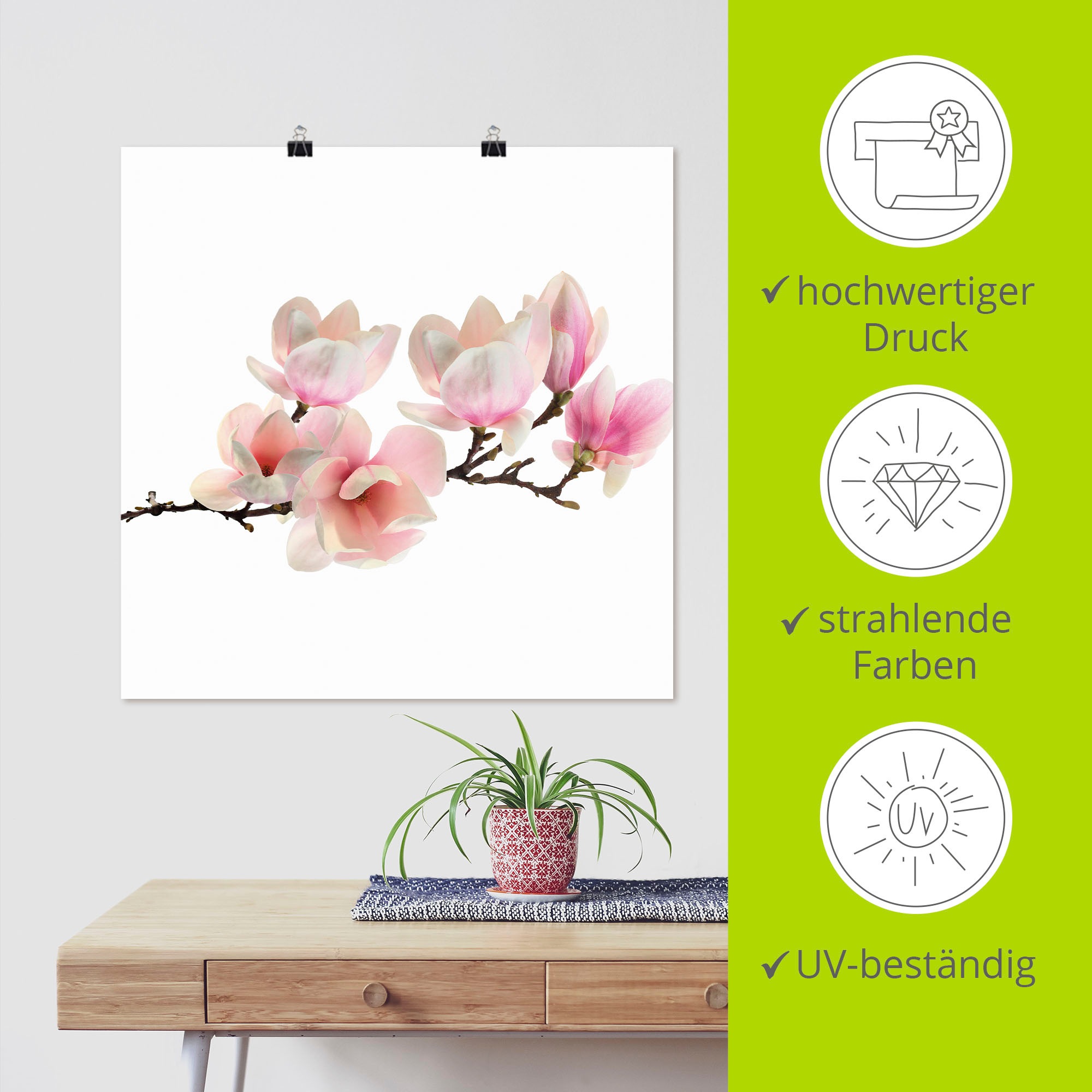 Artland Wandbild »Magnolie«, Blumen, (1 St.), als Leinwandbild, Poster, Wandaufkleber in verschied. Größen