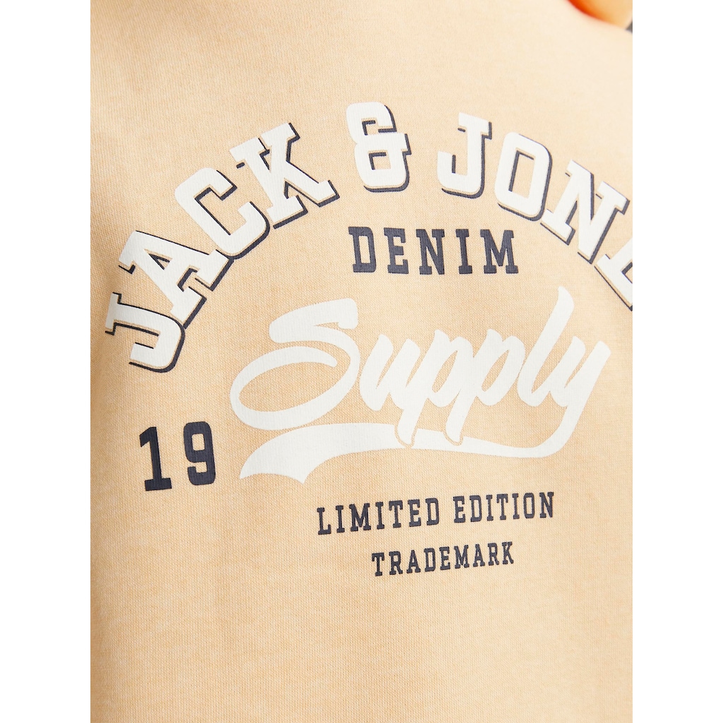 Jack & Jones Junior Hoodie »JJELOGO SWEAT HOOD 2 COL 24 SN JNR«