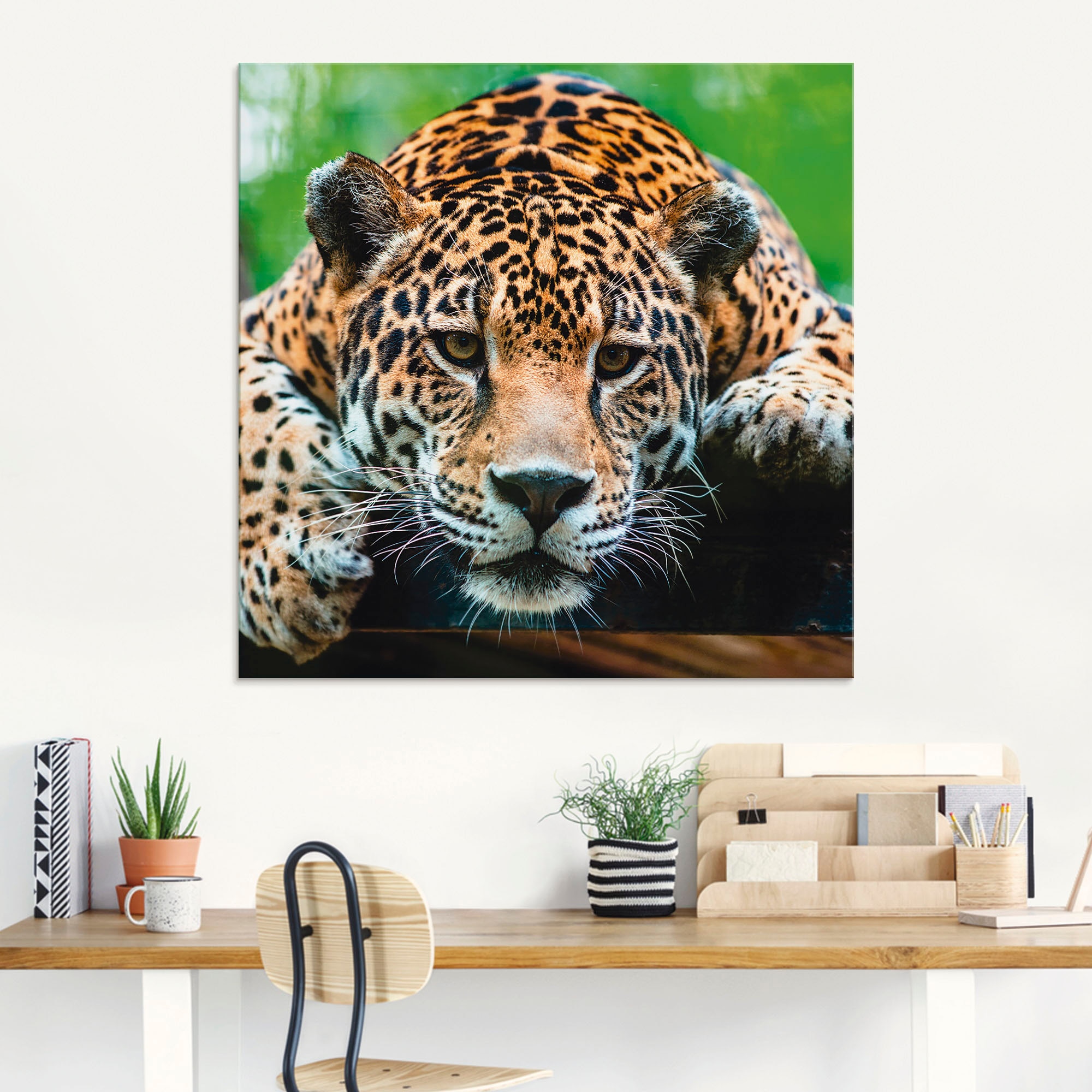 Artland Glasbild »Südamerikanischer Jaguar«, Wildtiere, (1 St.)