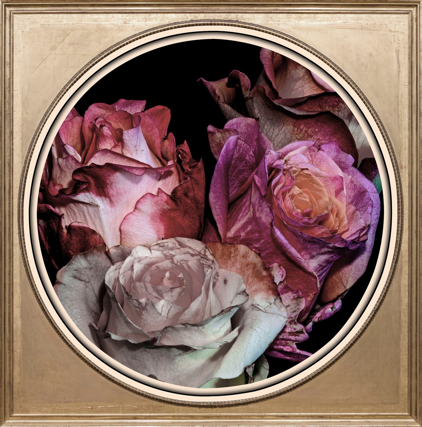 queence Acrylglasbild »Blumen«, Blumen-Blumenbilder-Kunst-Pflanzen-Pflanzenbilder-Gemälde, Fine Art-Print in Galeriequalität