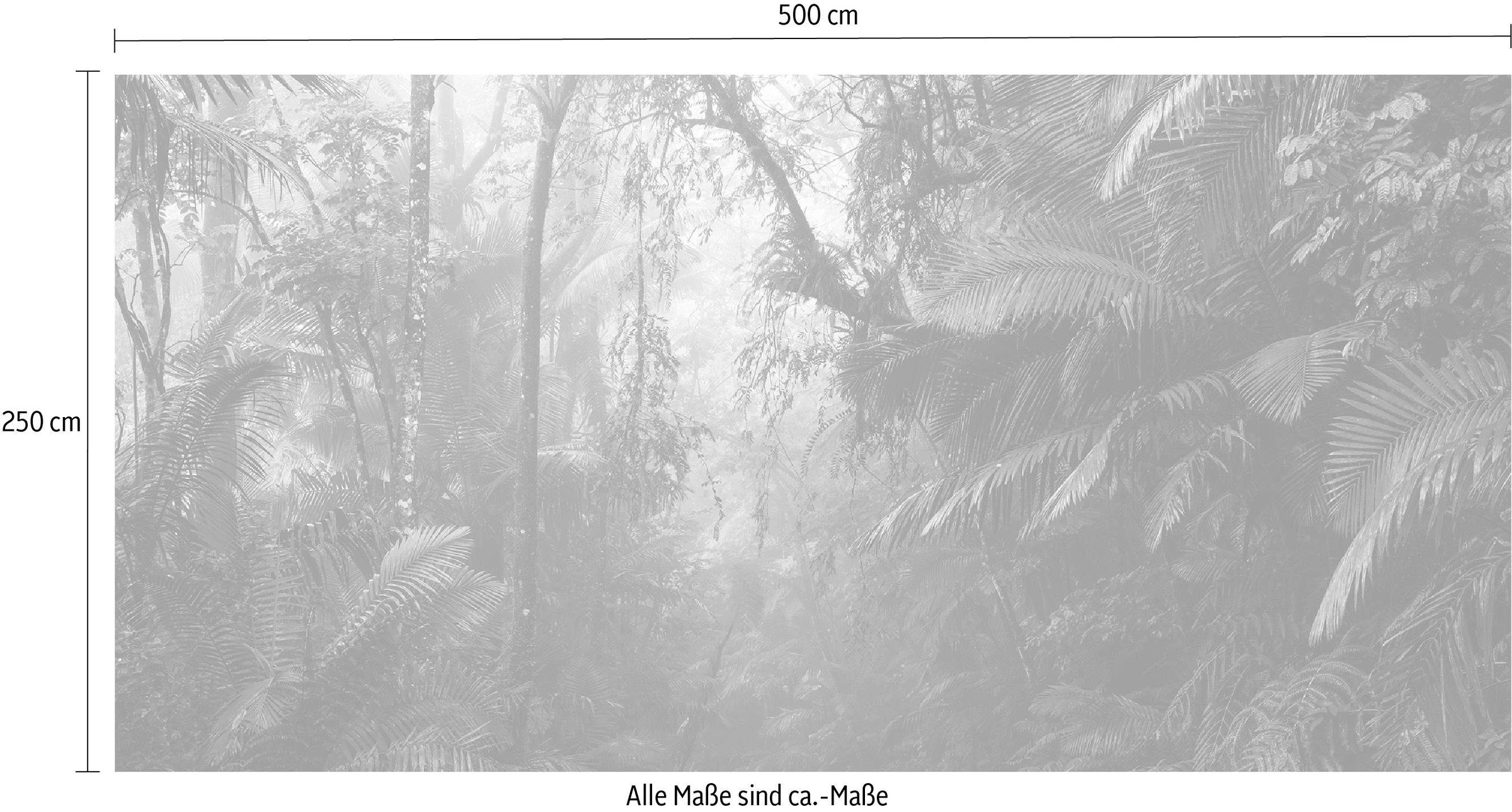 Komar Vliestapete »Tropenwelten«, 500x250 cm (Breite x Höhe), Vliestapete, 100 cm Bahnbreite
