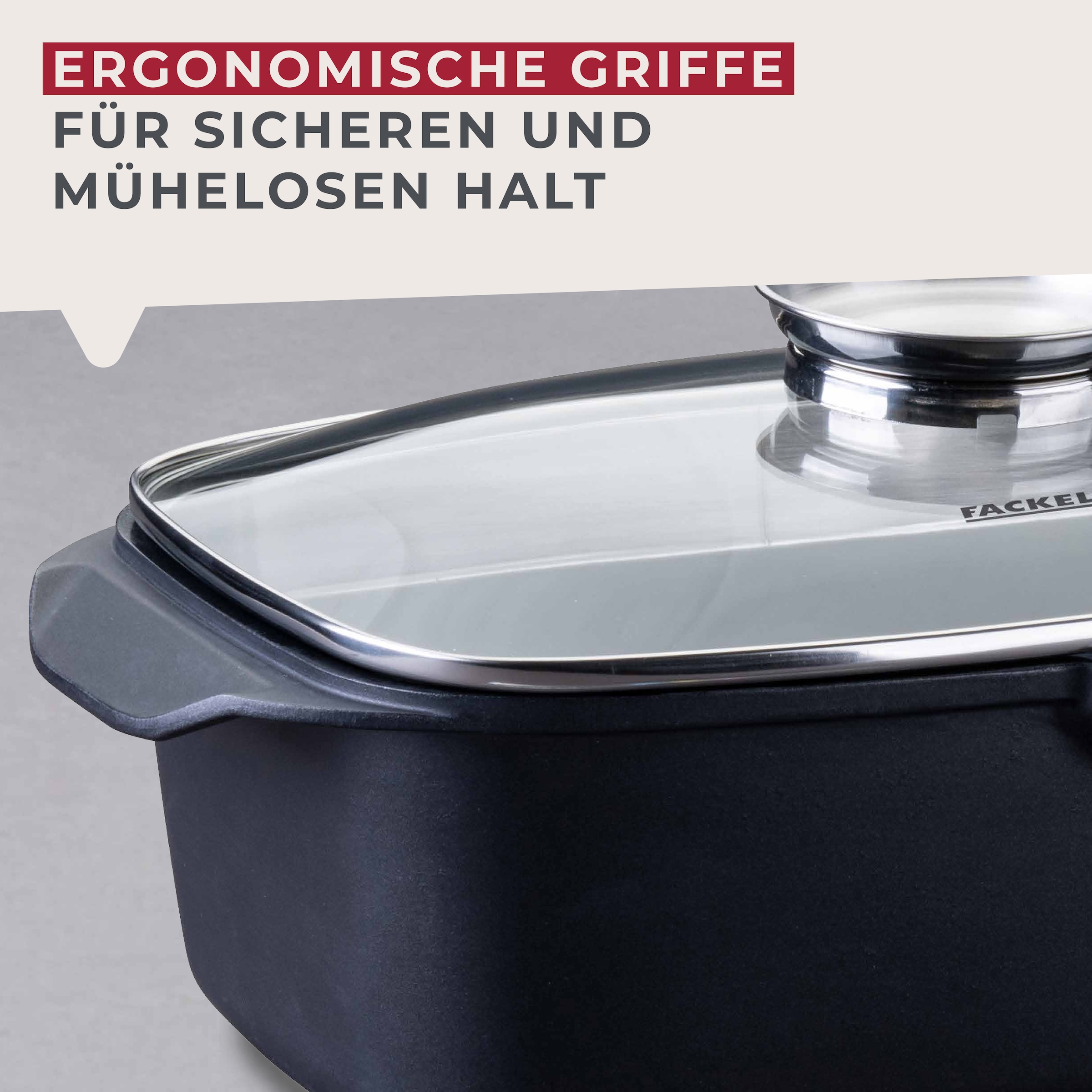 FACKELMANN Bräter »Roaster« 1 Stk. tlg. Aluminiumguss