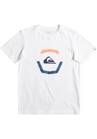 Quiksilver T-Shirt »SUPRISE SS YTH« kaufen