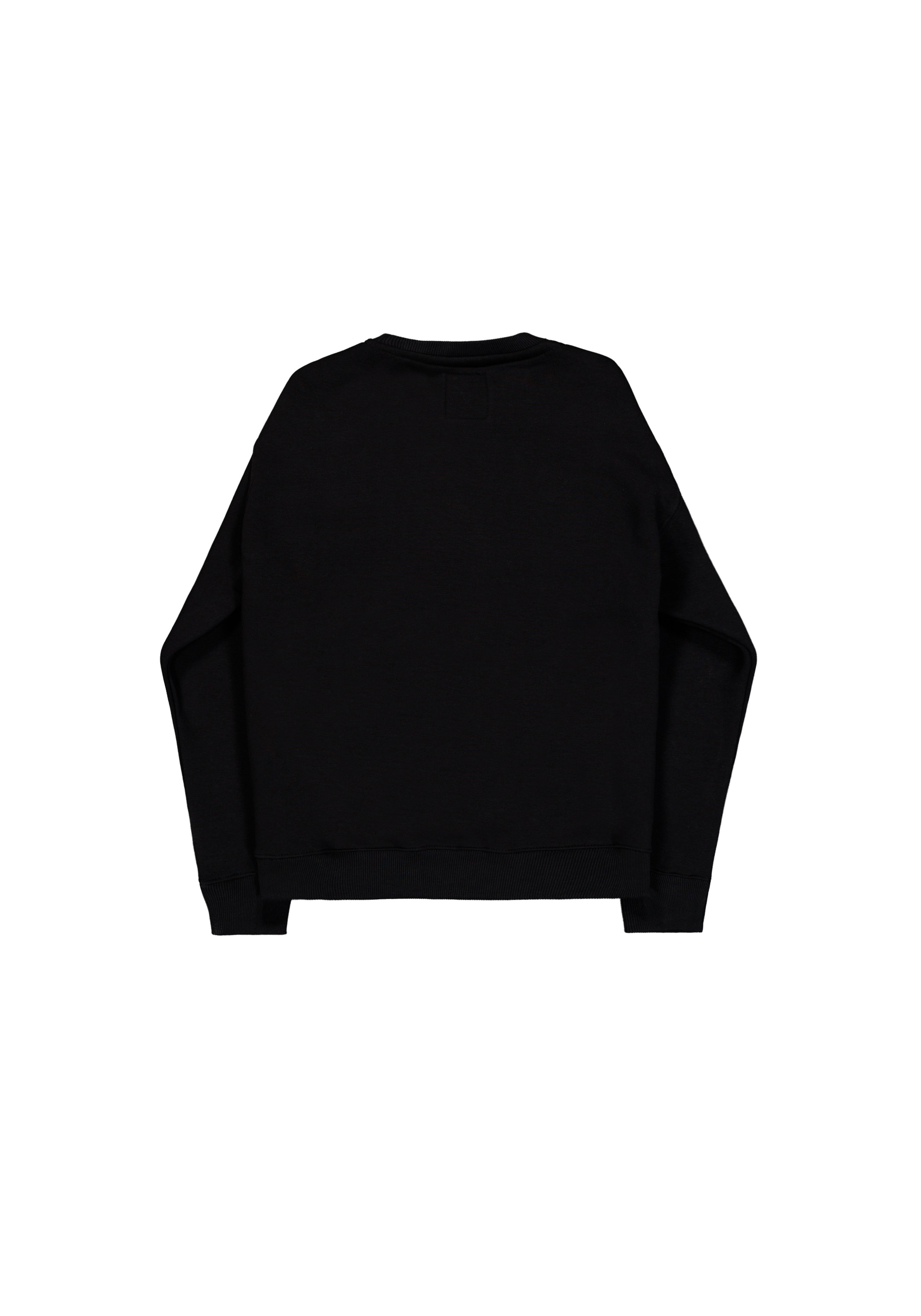 Alpha Industries Sweater »Alpha Industries Men - Sweatshirts Alpha PP Sweatshirt«