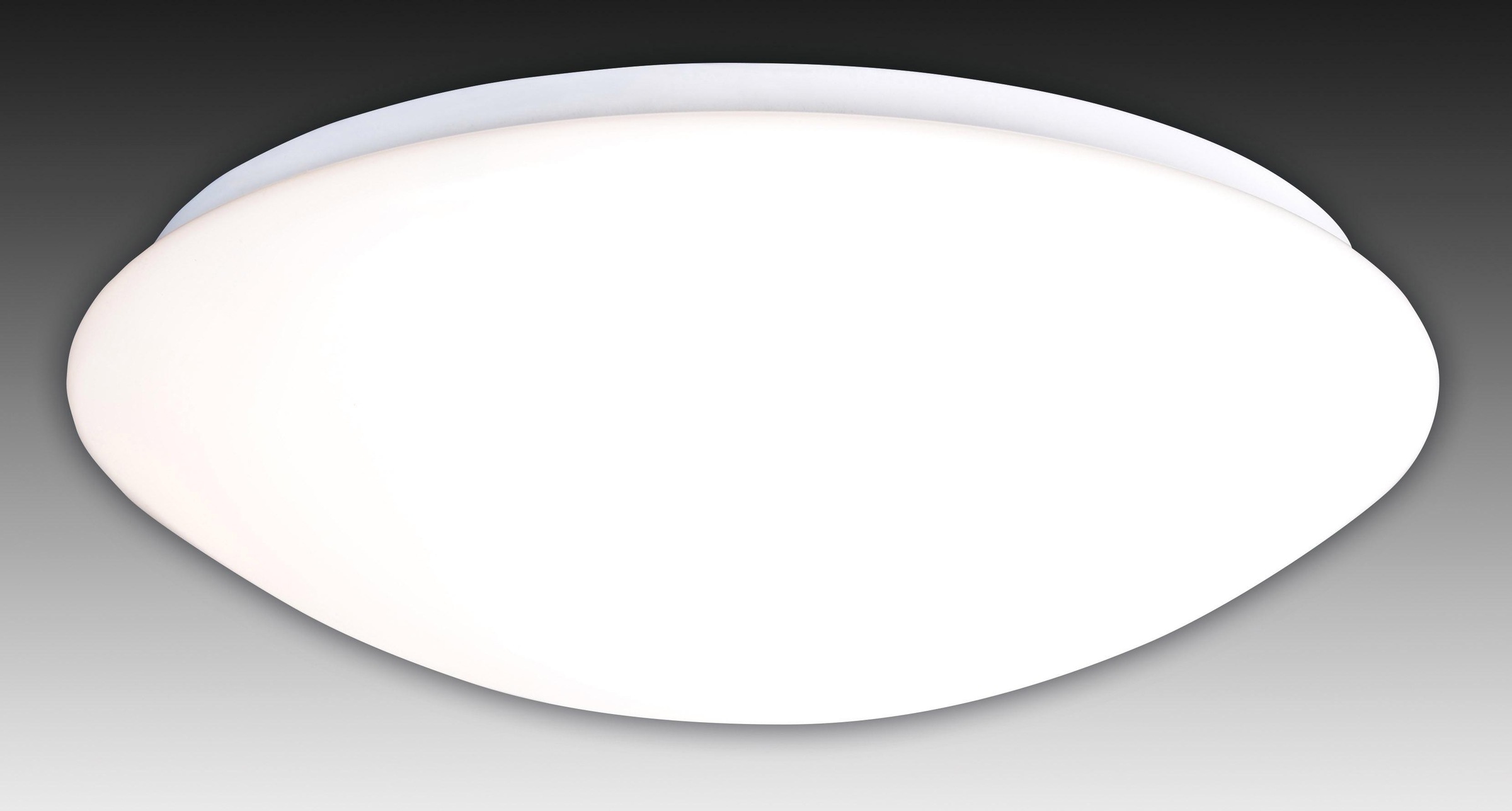 Näve LED Deckenleuchte »Bern« LED-Board 1 Stk. Kaltweiß Neutralweiß Tageslichtweiß Warmweiß CCT in weiß, Größe Ø 35 cm Höhe: 11 cm