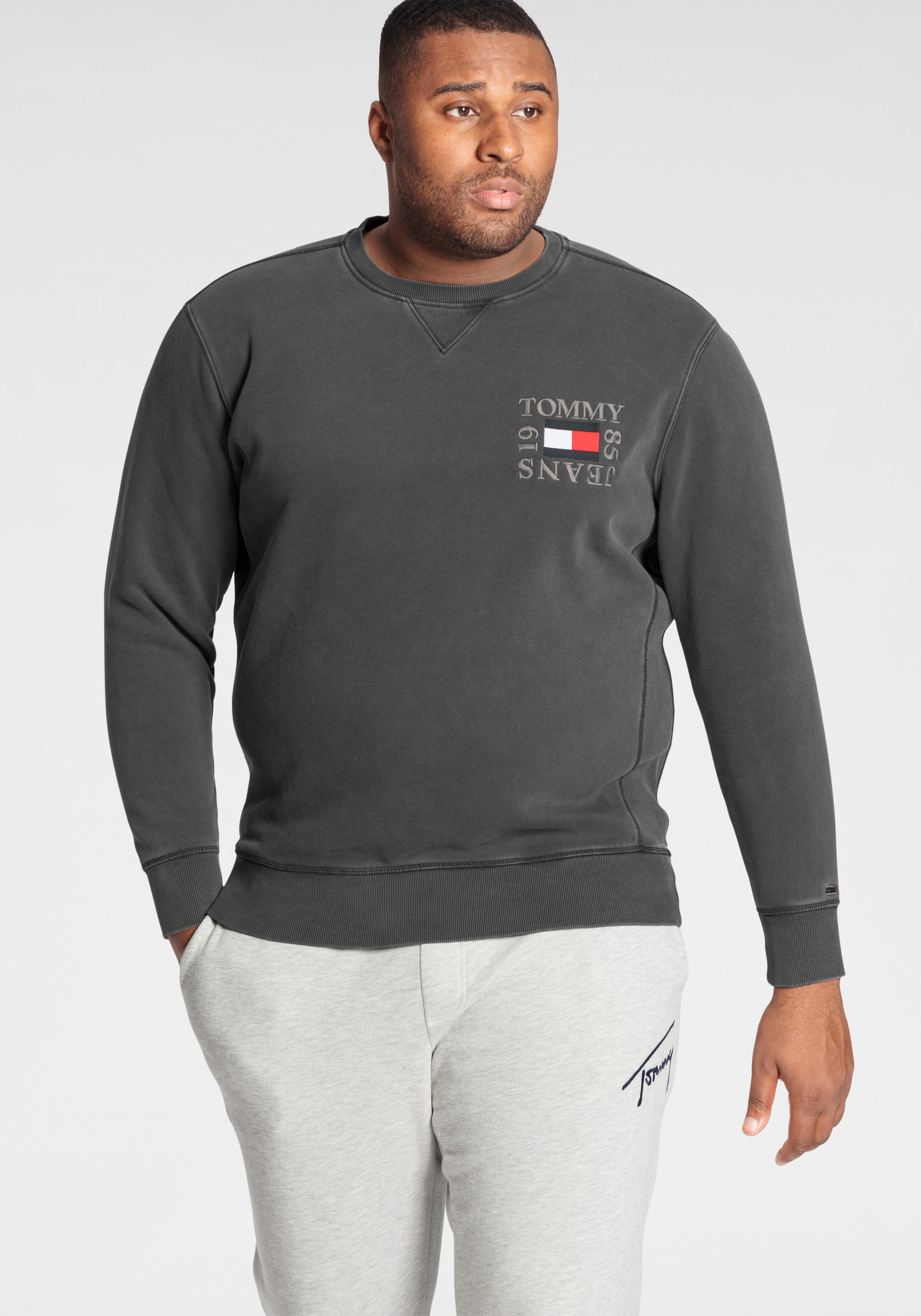 Tommy Jeans Plus Sweatshirt »TJM PLUS TIMELESS TOMMY CREW«