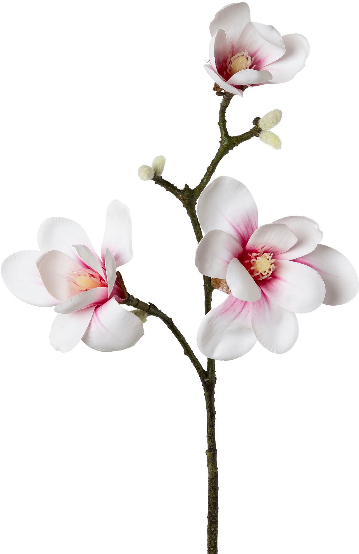 Creativ green Kunstblume »Magnolie«