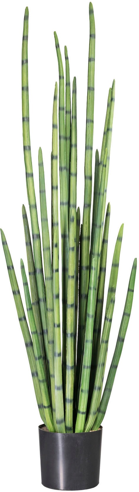 Creativ green Kunstpflanze »Sanseveria«