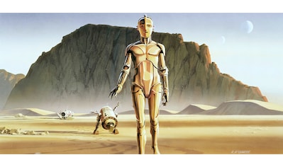 Komar Fototapete »Star Wars Classic RMQ Droids«, futuristisch-mehrfarbig-Weltall kaufen