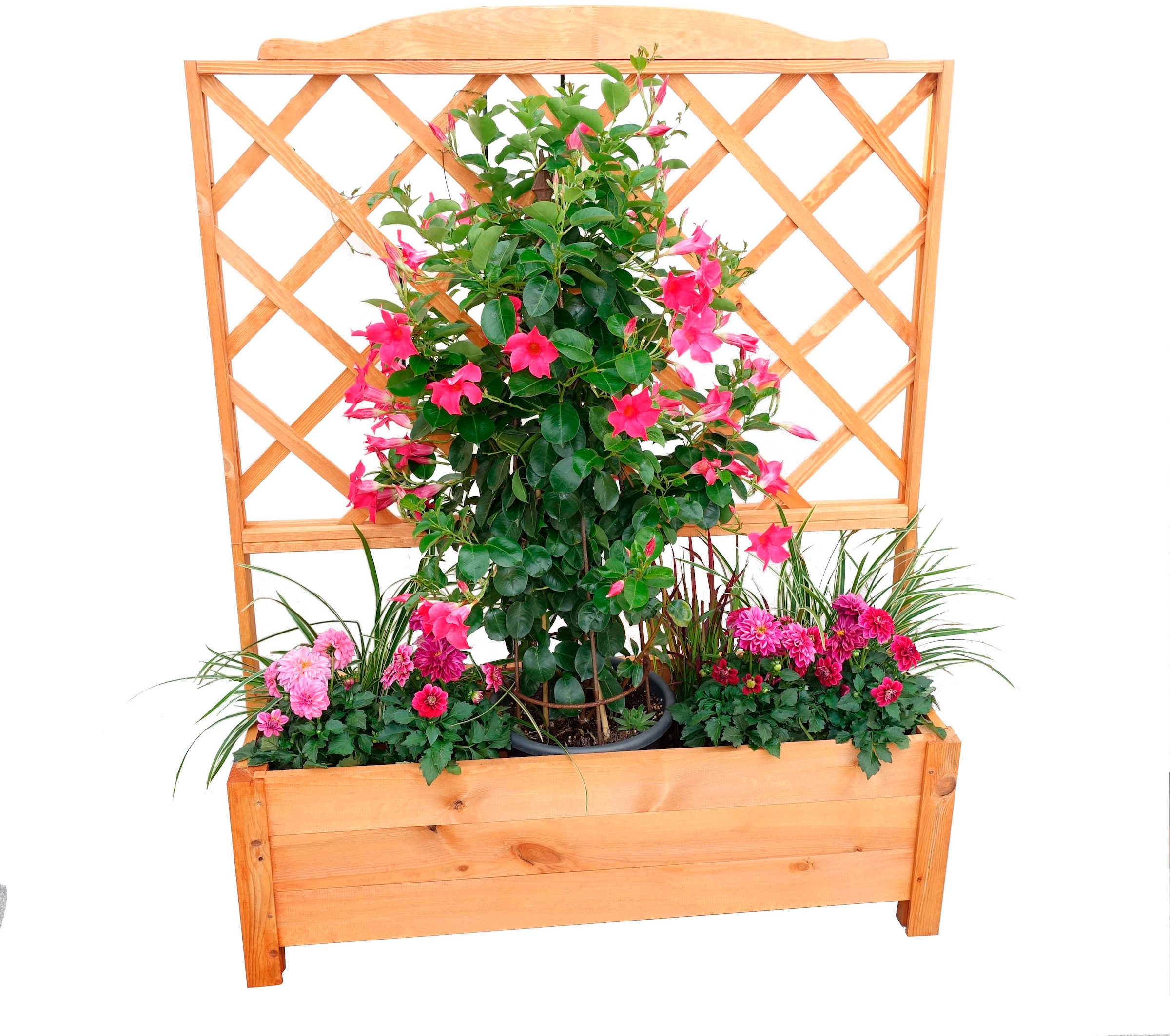 promadino Spalier mit Pflanzkasten, BxTxH: 110x32x140 cm