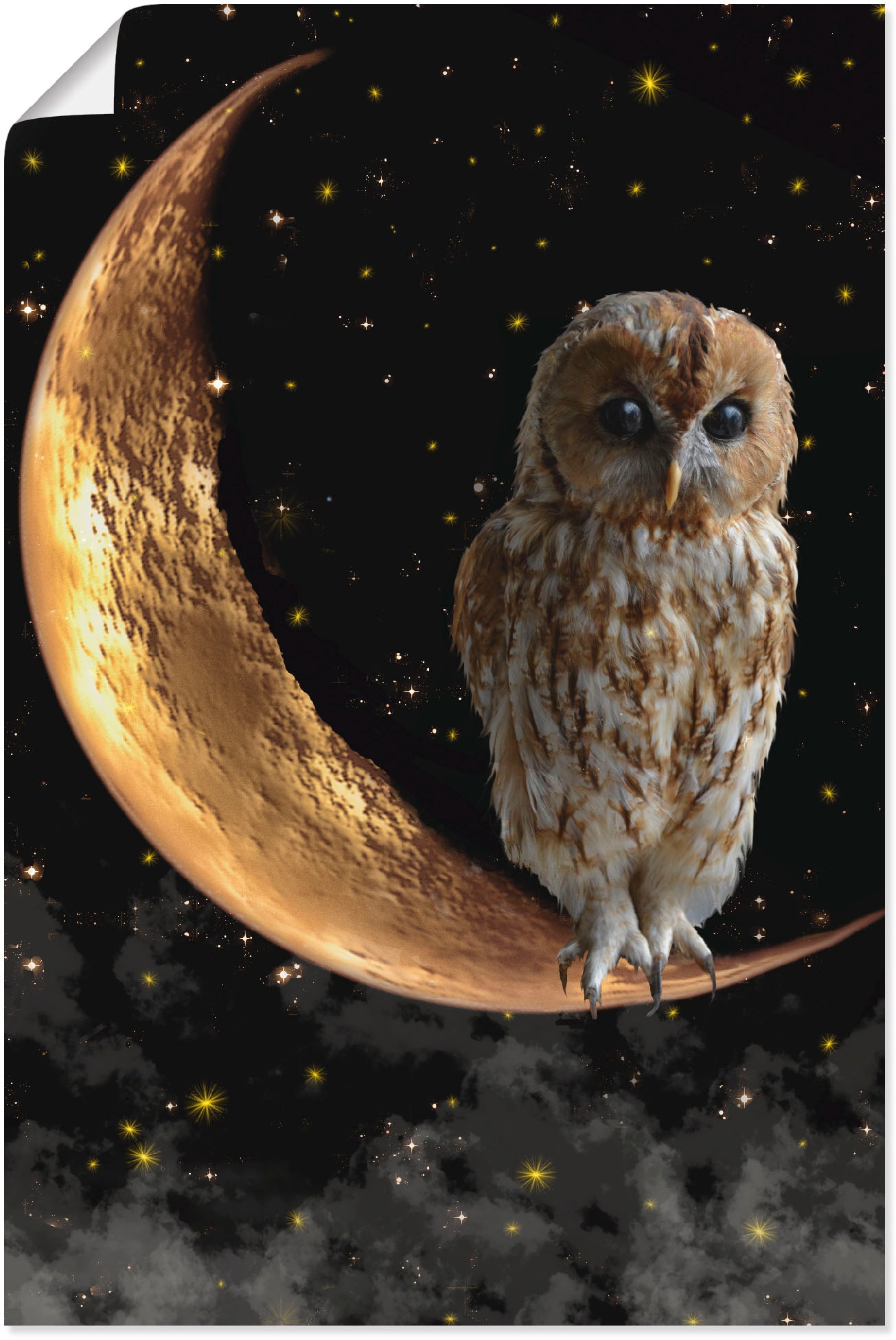 Artland Wandbild »Nachteule« Vögel 1 Stk. tlg. als Alubild, Leinwandbild, Poster in verschied. Größen