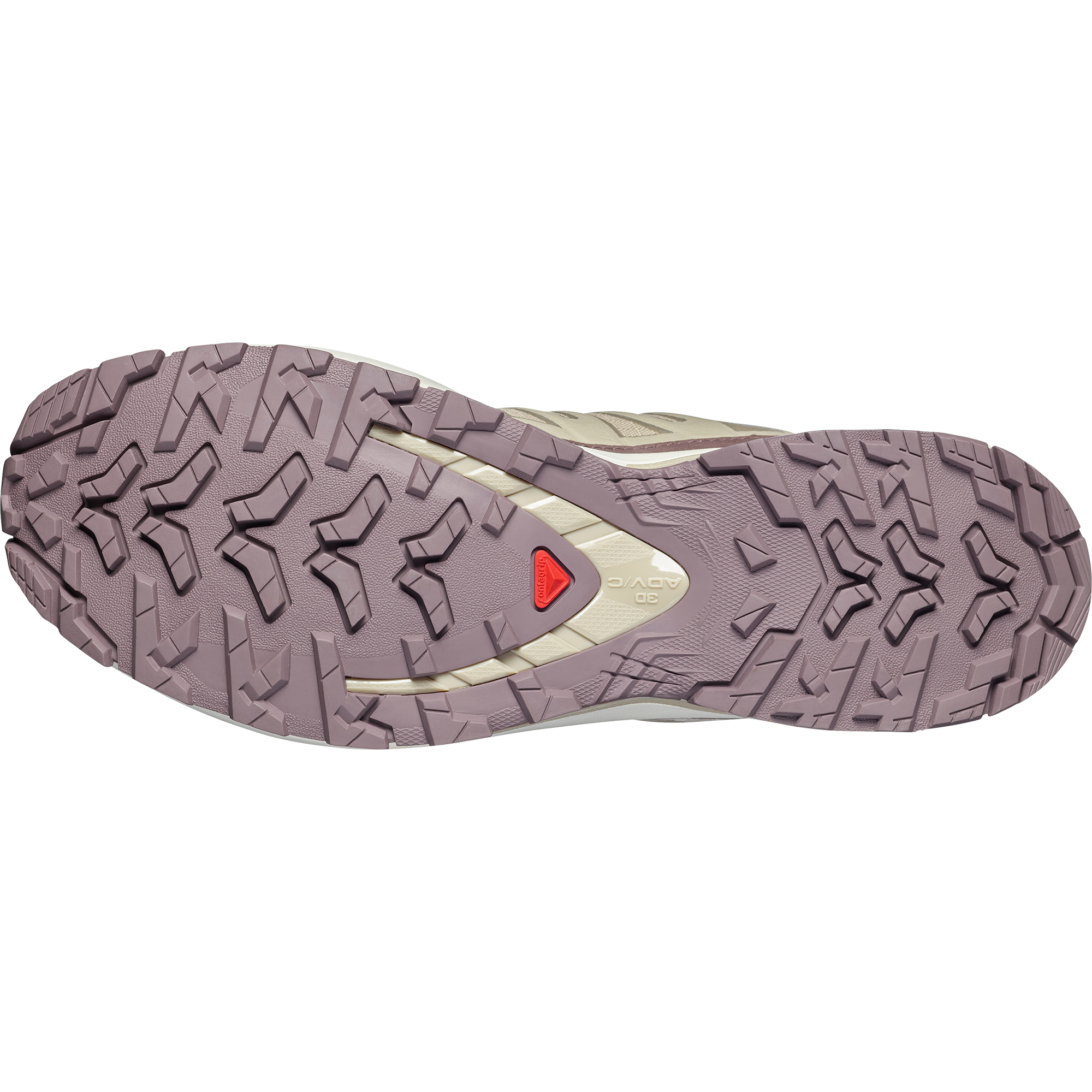 Salomon Trailrunningschuh »XA PRO 3D V9 LIFELONG«