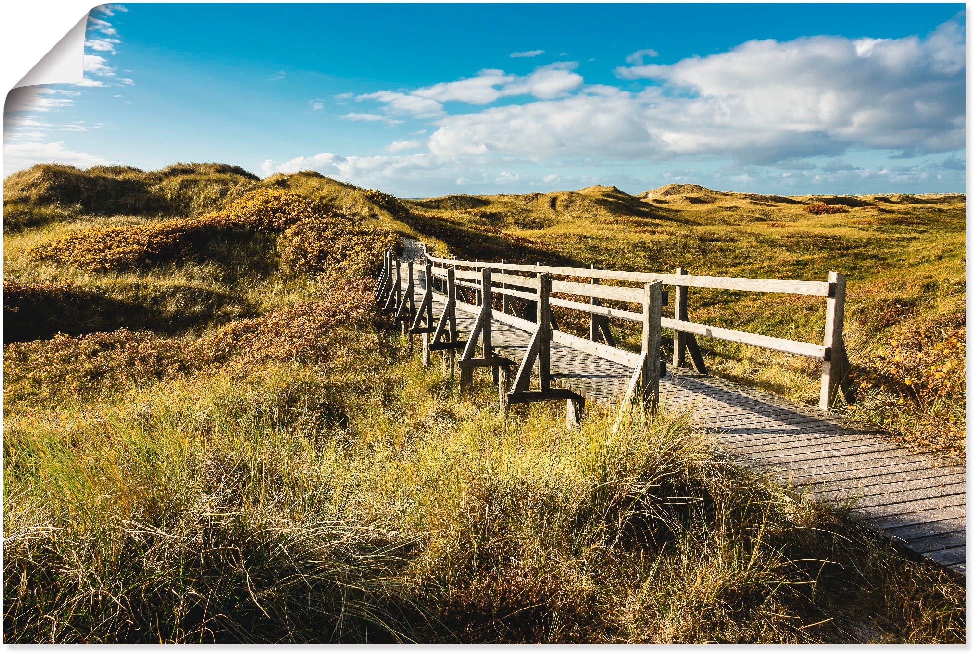 Artland Wandbild »Landschaft in den Dünen Insel Amrum«, Küste, (1 St.), in vielen Größen & Produktarten - Alubild / Outdoorbild für den Außenbereich, Leinwandbild, Poster, Wandaufkleber / Wandtattoo auch für Badezimmer geeignet